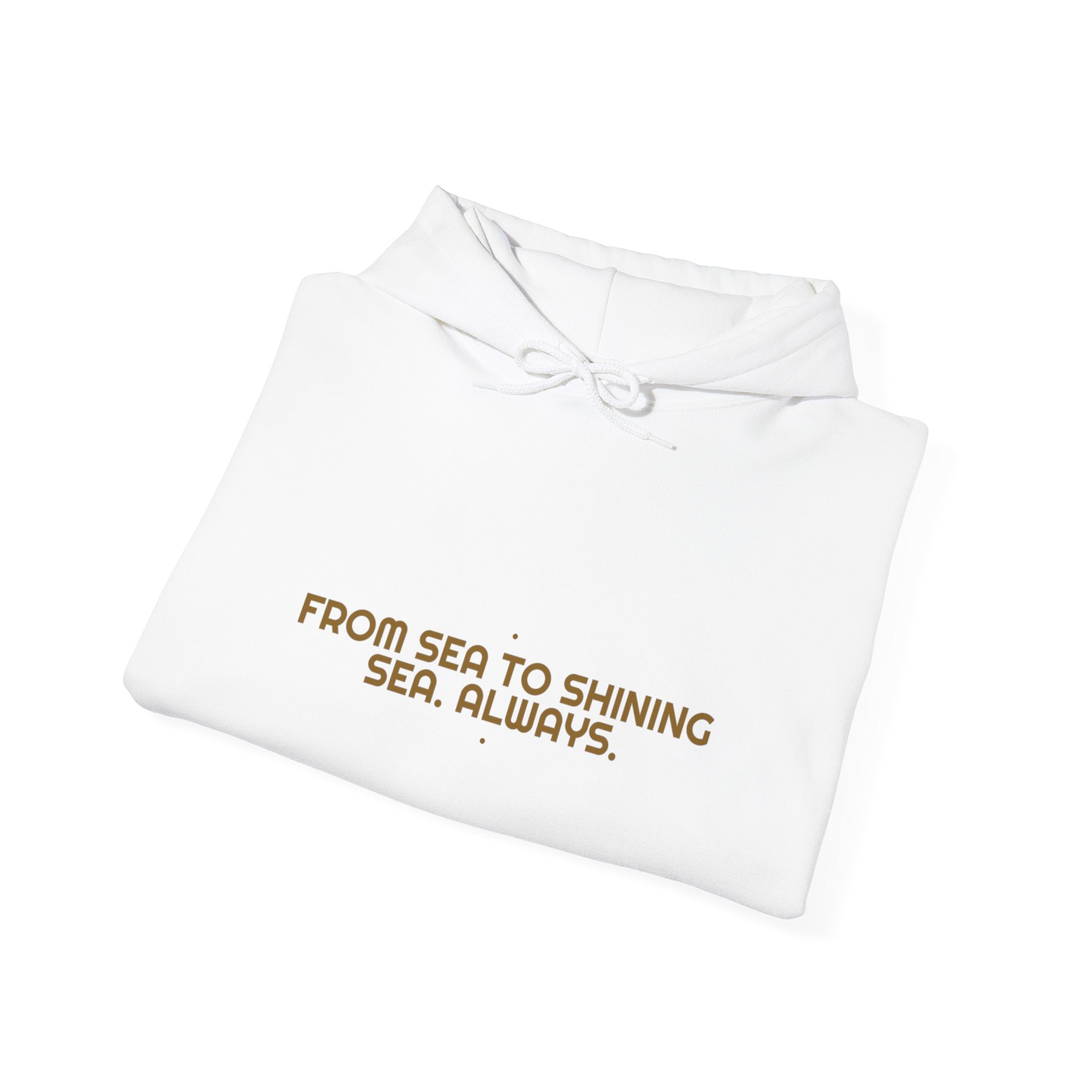 From Sea To Shining Sea. Always. - Trendy Teez Funny Hoodie mockup