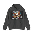 Declassified - Trendy Teez Funny Hoodie mockup