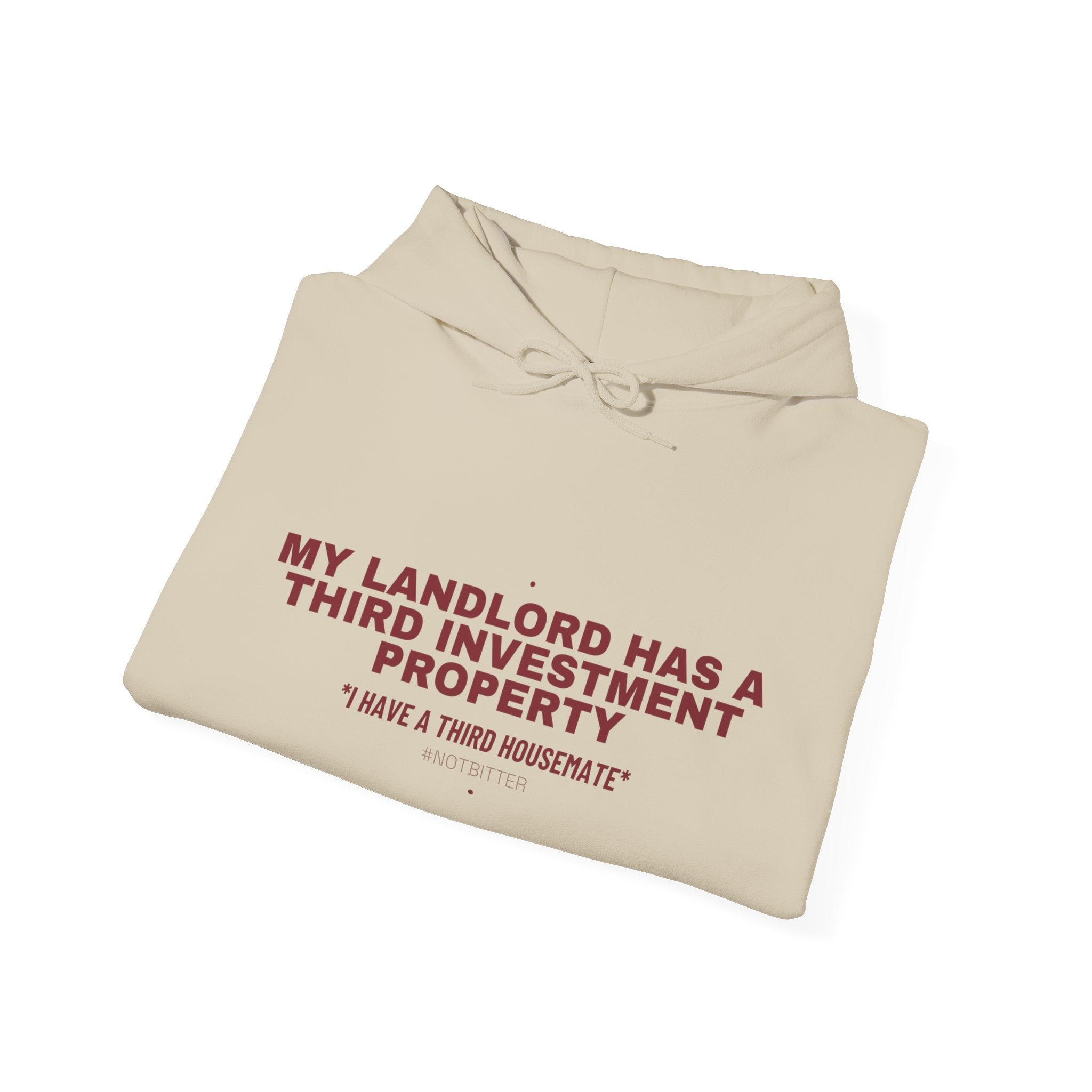 My Landlord Has A Third Investment Property - Trendy Teez Funny Hoodie mockup