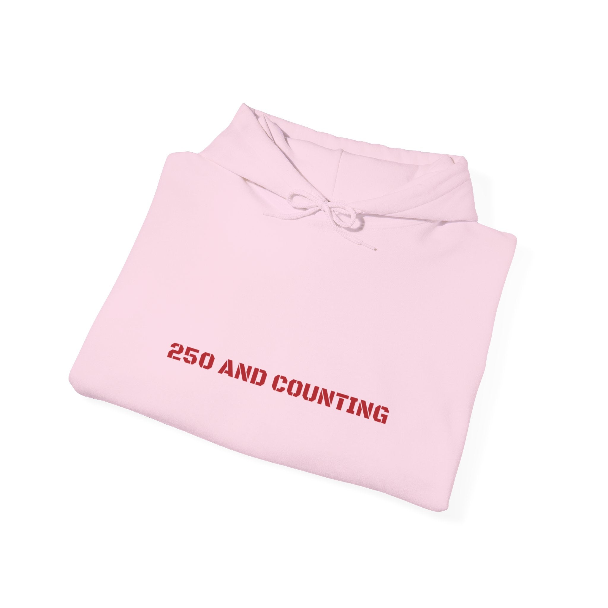 250 And Counting - Trendy Teez Funny Hoodie mockup