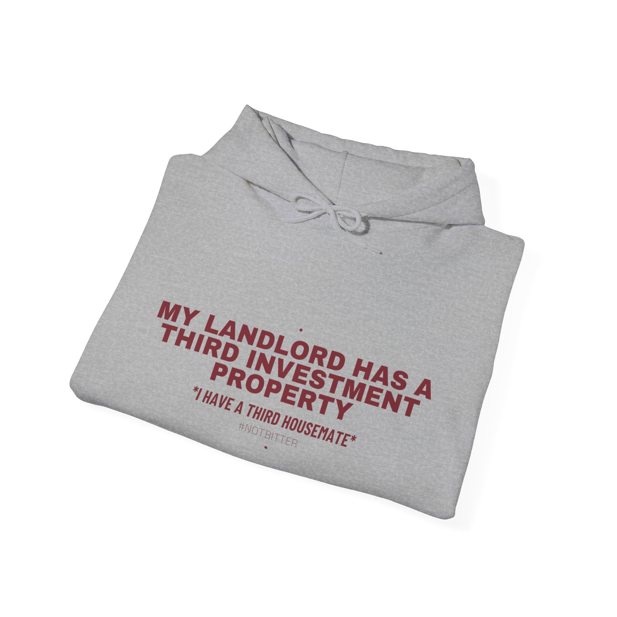My Landlord Has A Third Investment Property - Trendy Teez Funny Hoodie mockup