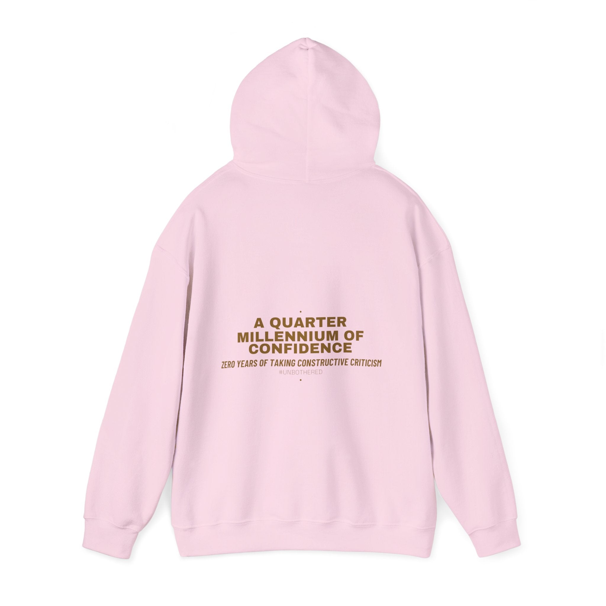 A Quarter Millennium Of Confidence — Funny Hoodie (Back Print)