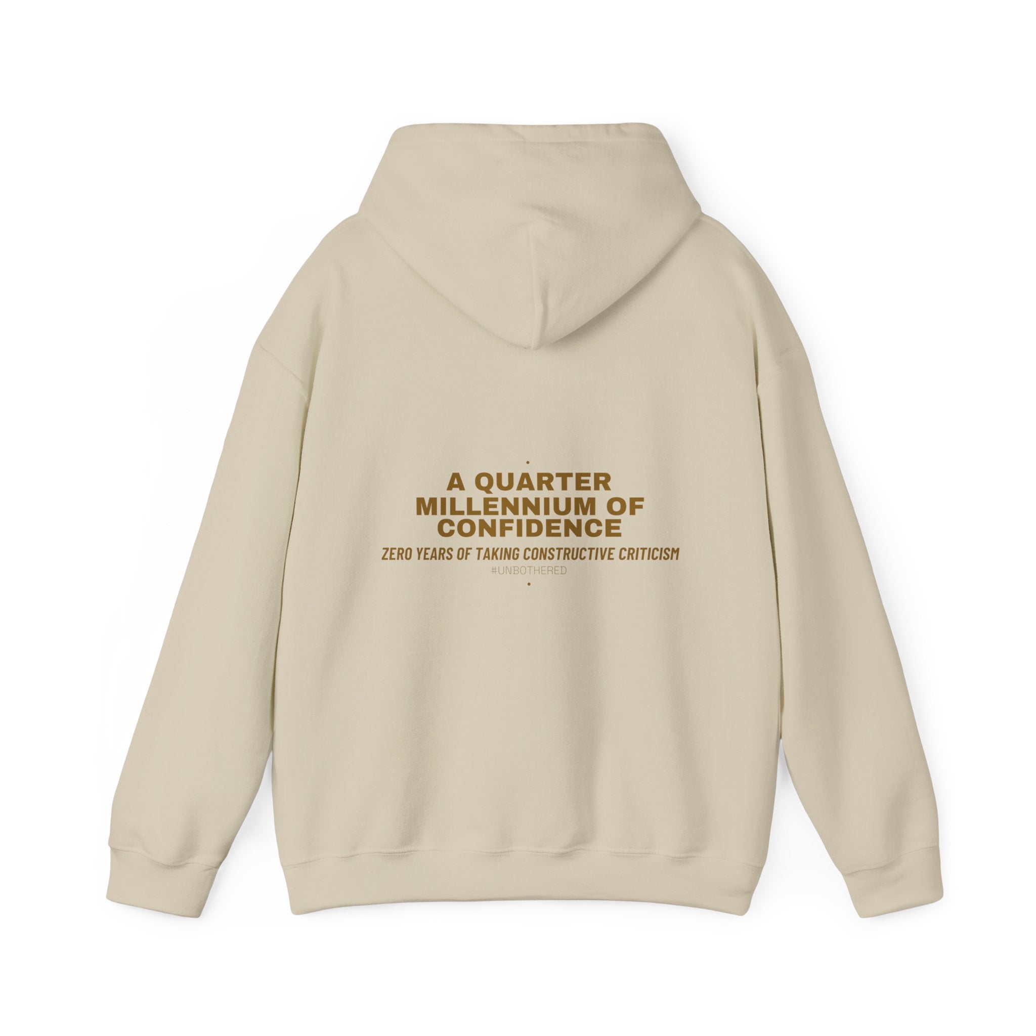 A Quarter Millennium Of Confidence — Funny Hoodie (Back Print)