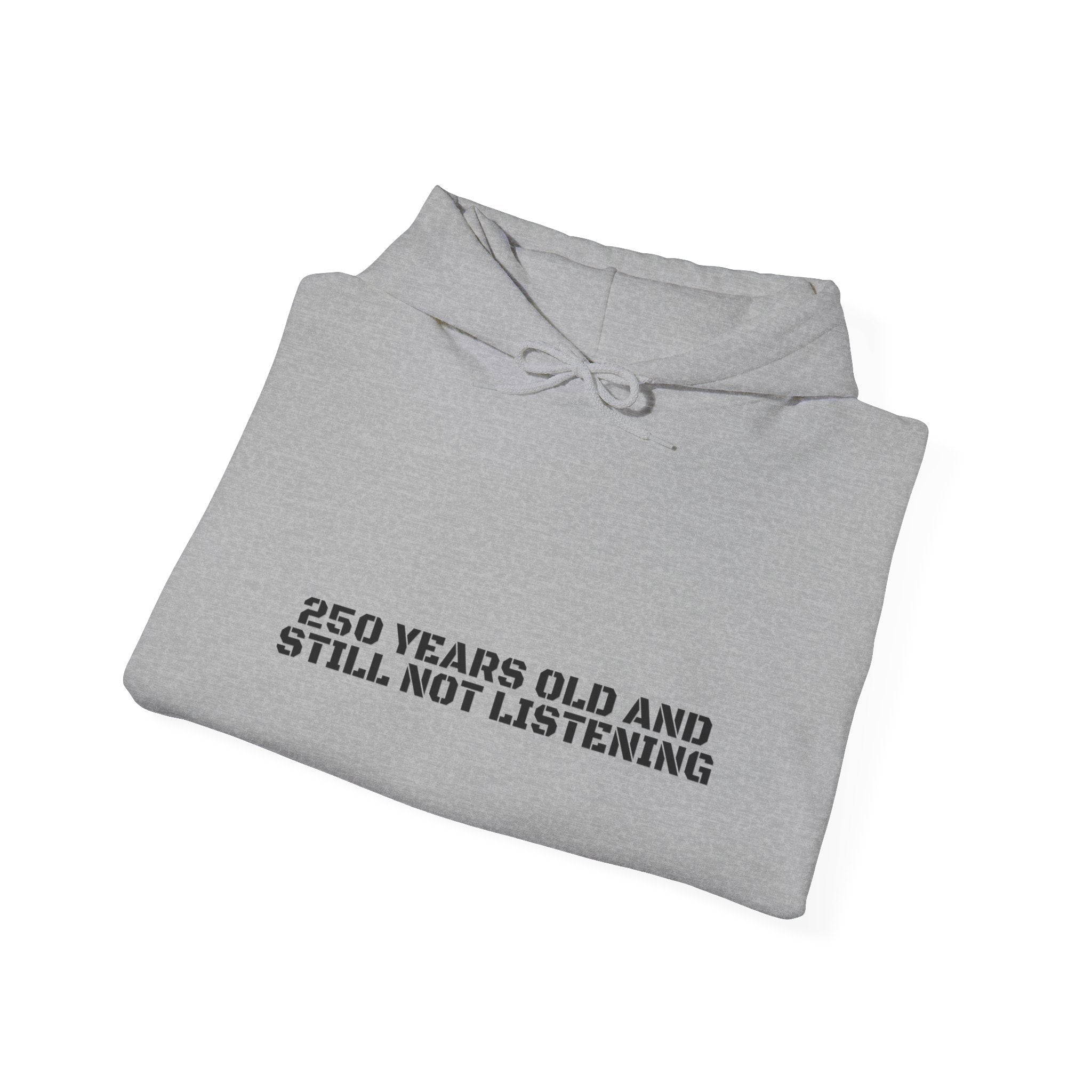 250 Years Old And Still Not Listening — Funny Hoodie