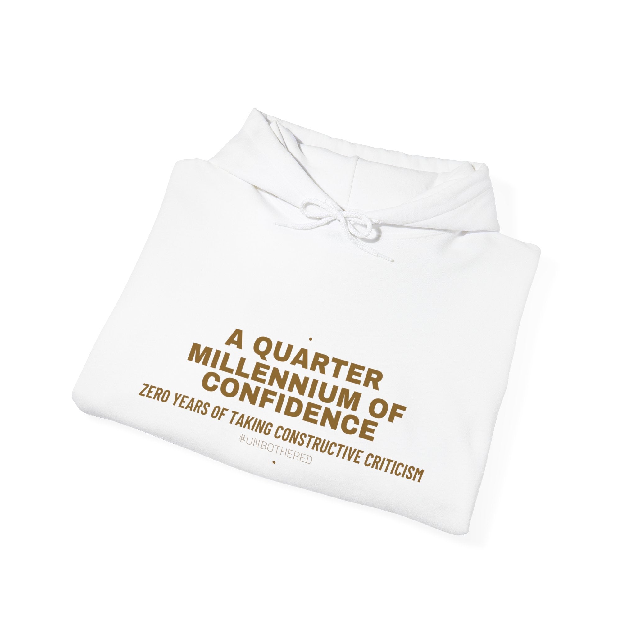 A Quarter Millennium Of Confidence — Funny Hoodie