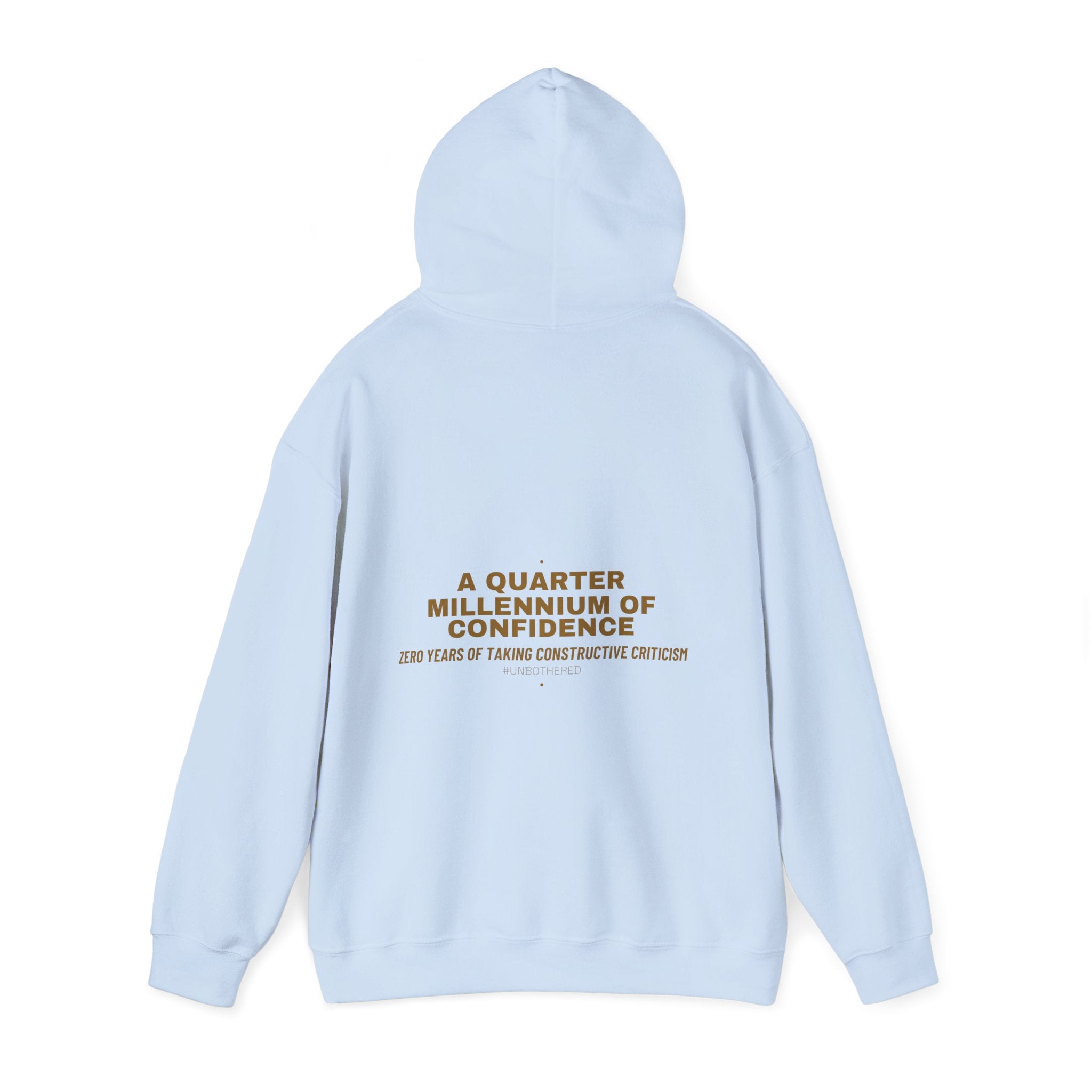 A Quarter Millennium Of Confidence — Funny Hoodie (Back Print)