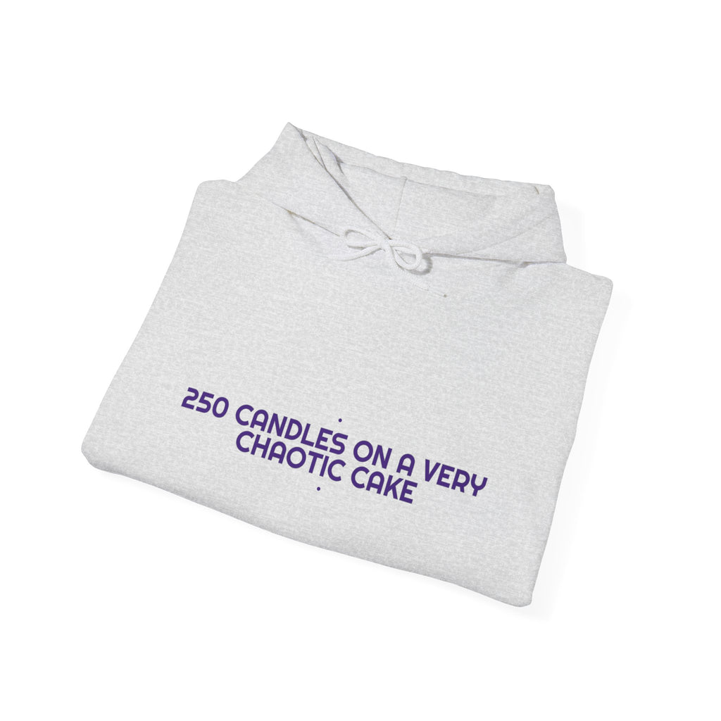 250 Candles On A Very Chaotic Cake — Funny Hoodie