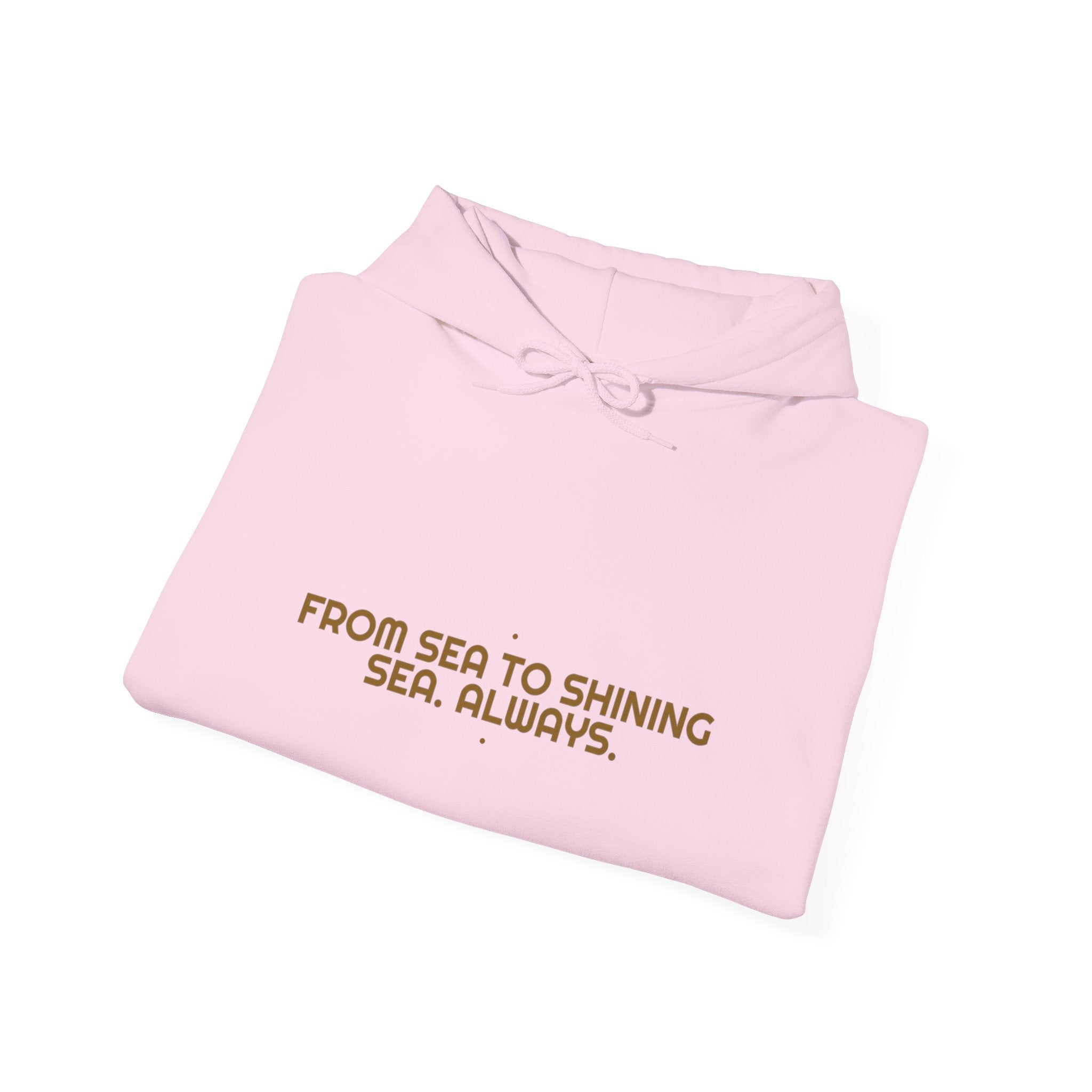 From Sea To Shining Sea. Always. - Trendy Teez Funny Hoodie mockup