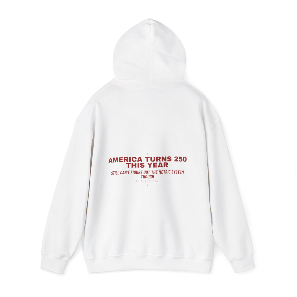 America Turns 250 This Year — Funny Hoodie (Back Print)