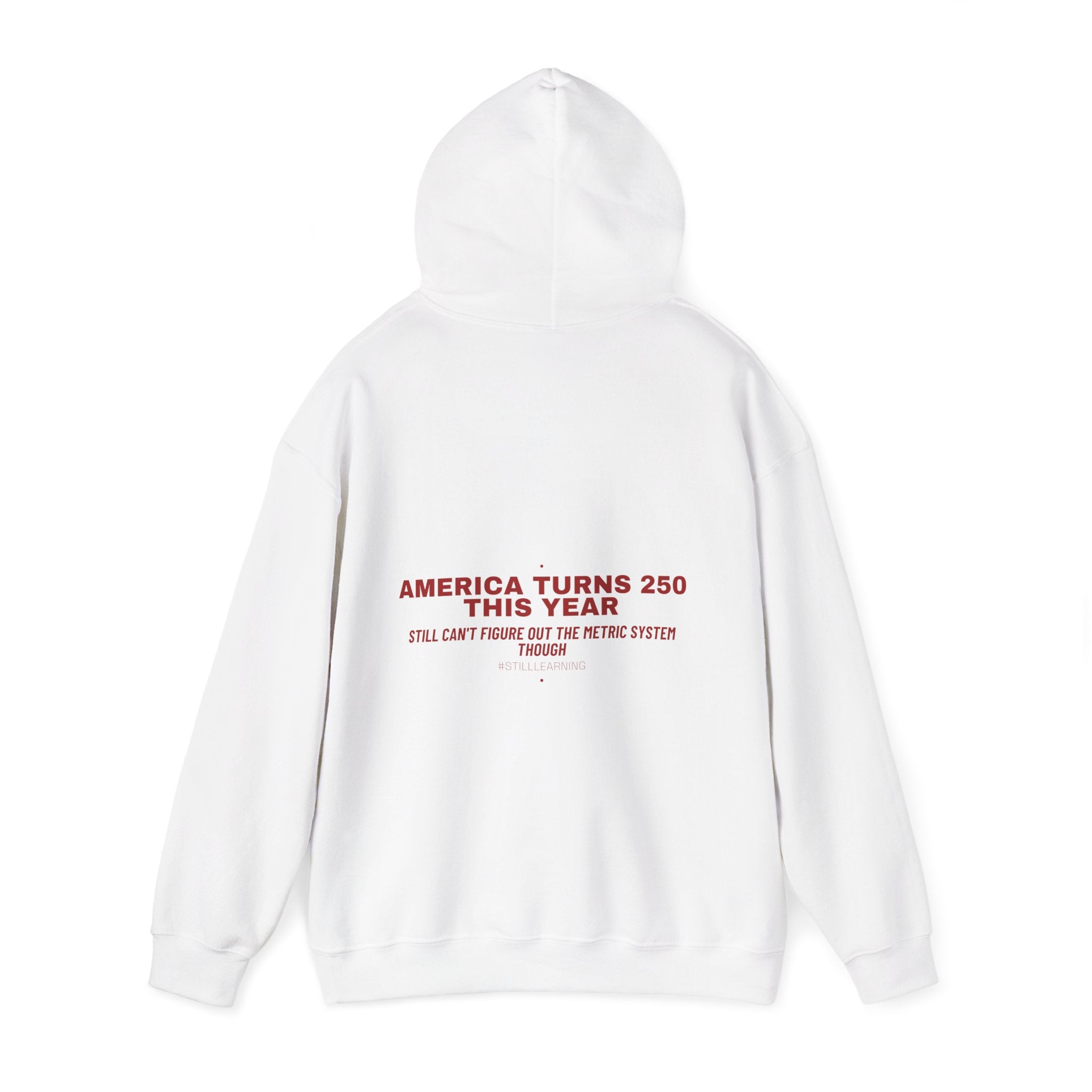 America Turns 250 This Year — Funny Hoodie (Back Print)