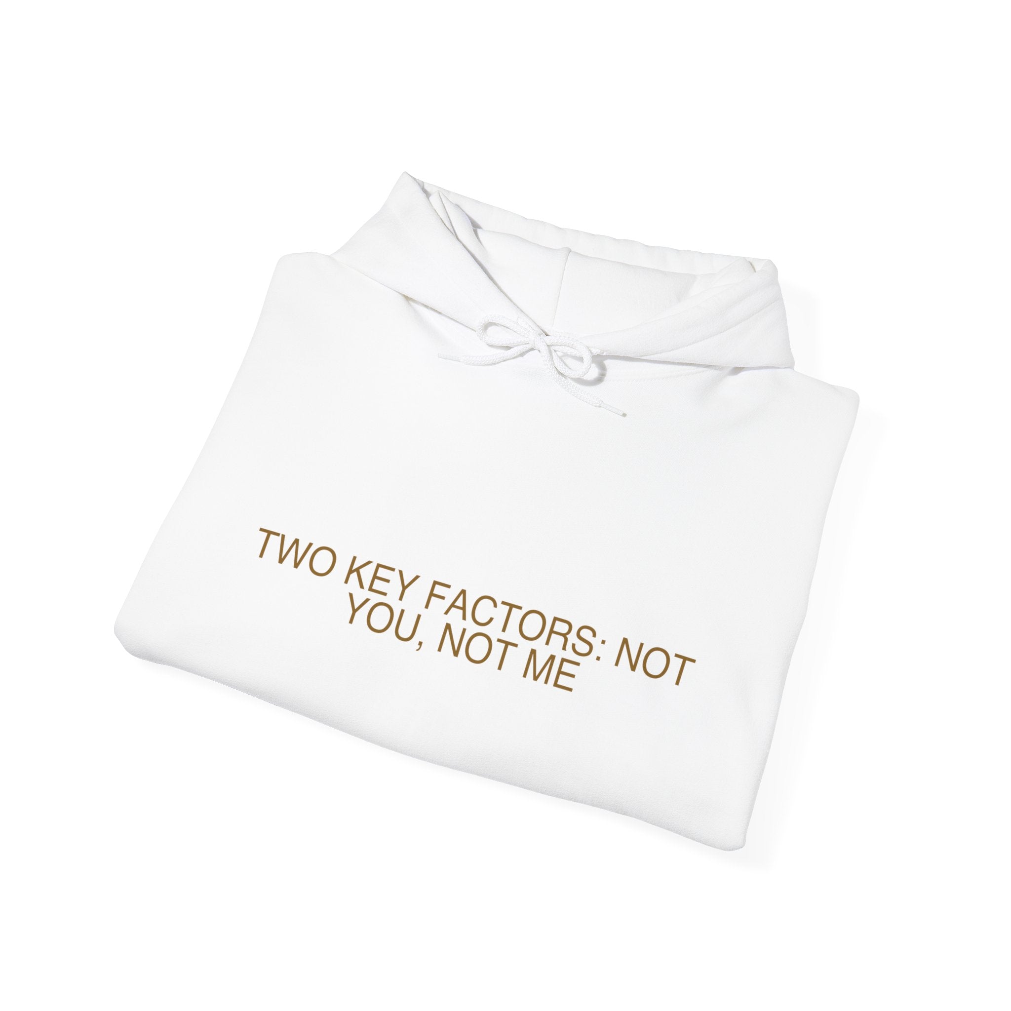 Two Key Factors: Not You, Not Me - Trendy Teez Funny Hoodie mockup