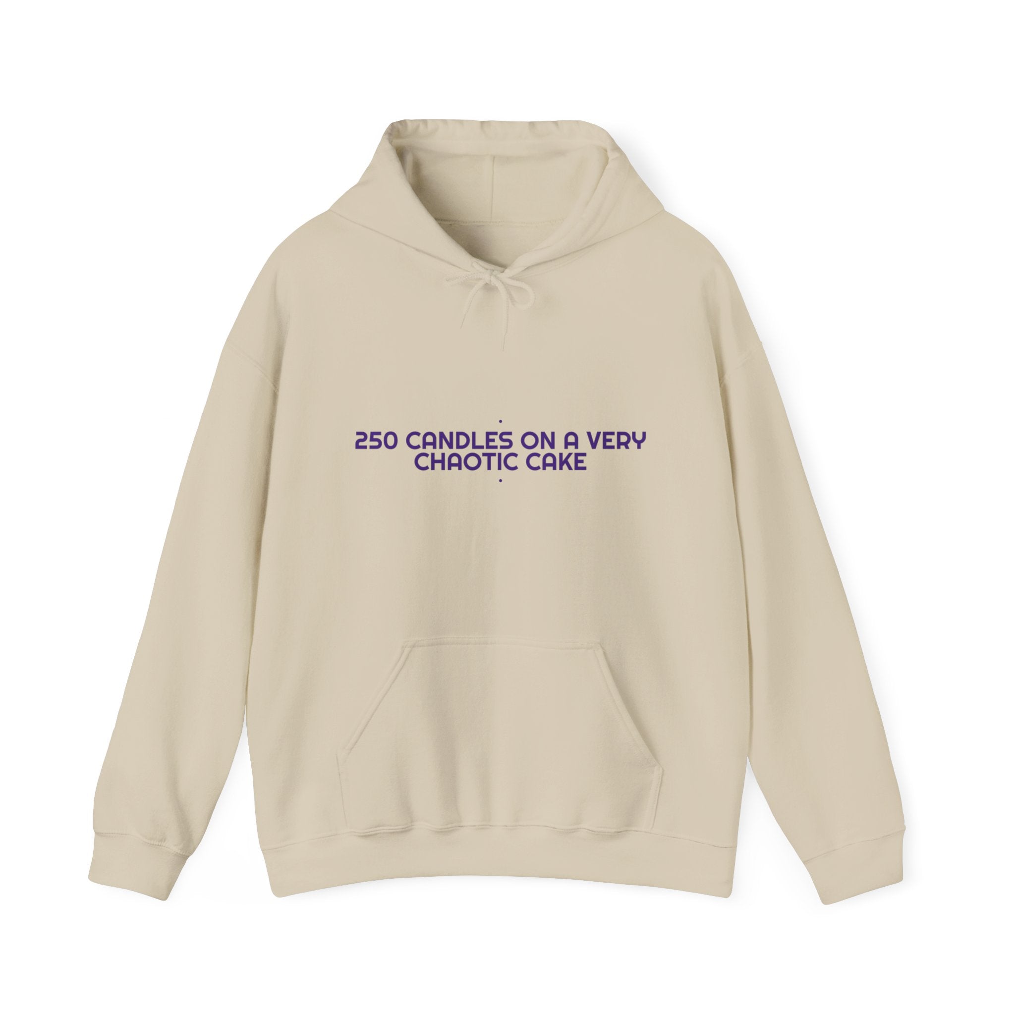 250 Candles On A Very Chaotic Cake — Funny Hoodie
