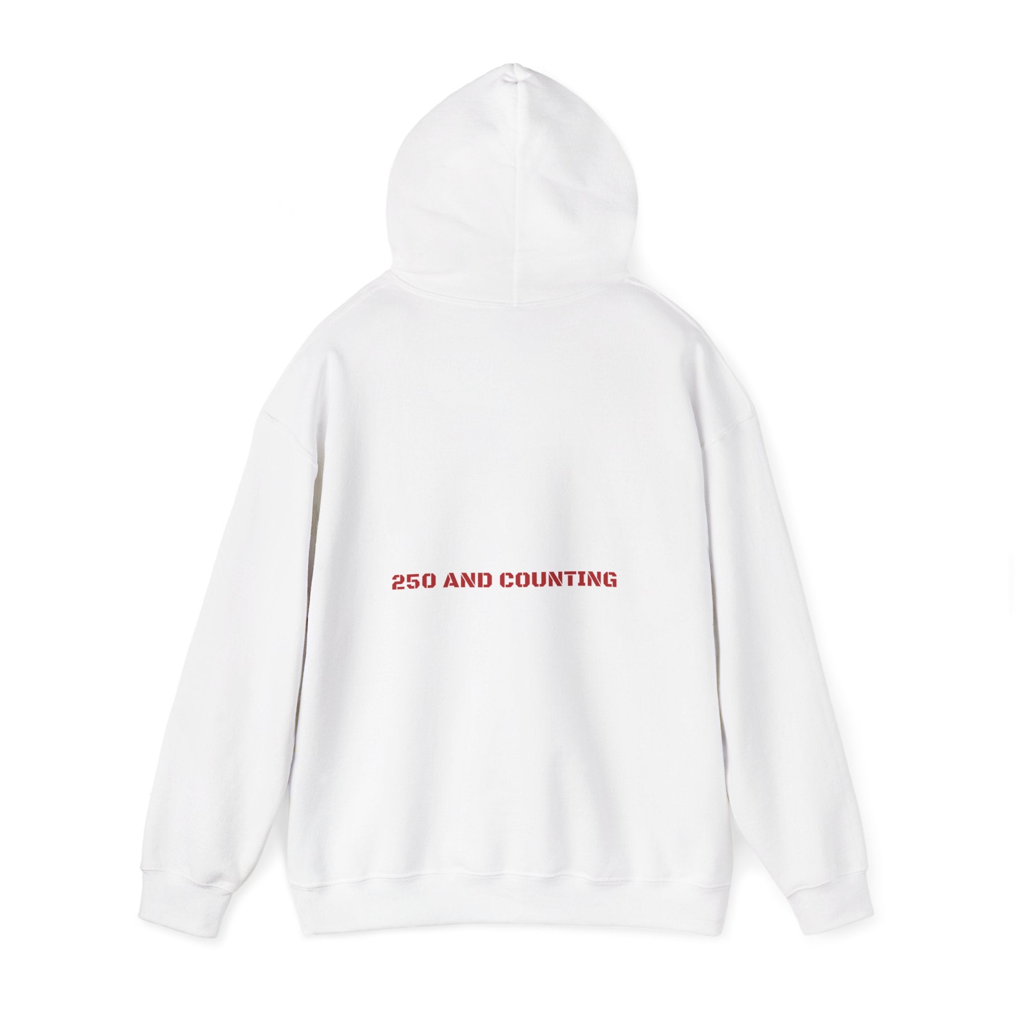 250 And Counting - Trendy Teez Funny Hoodie (Back Print) mockup