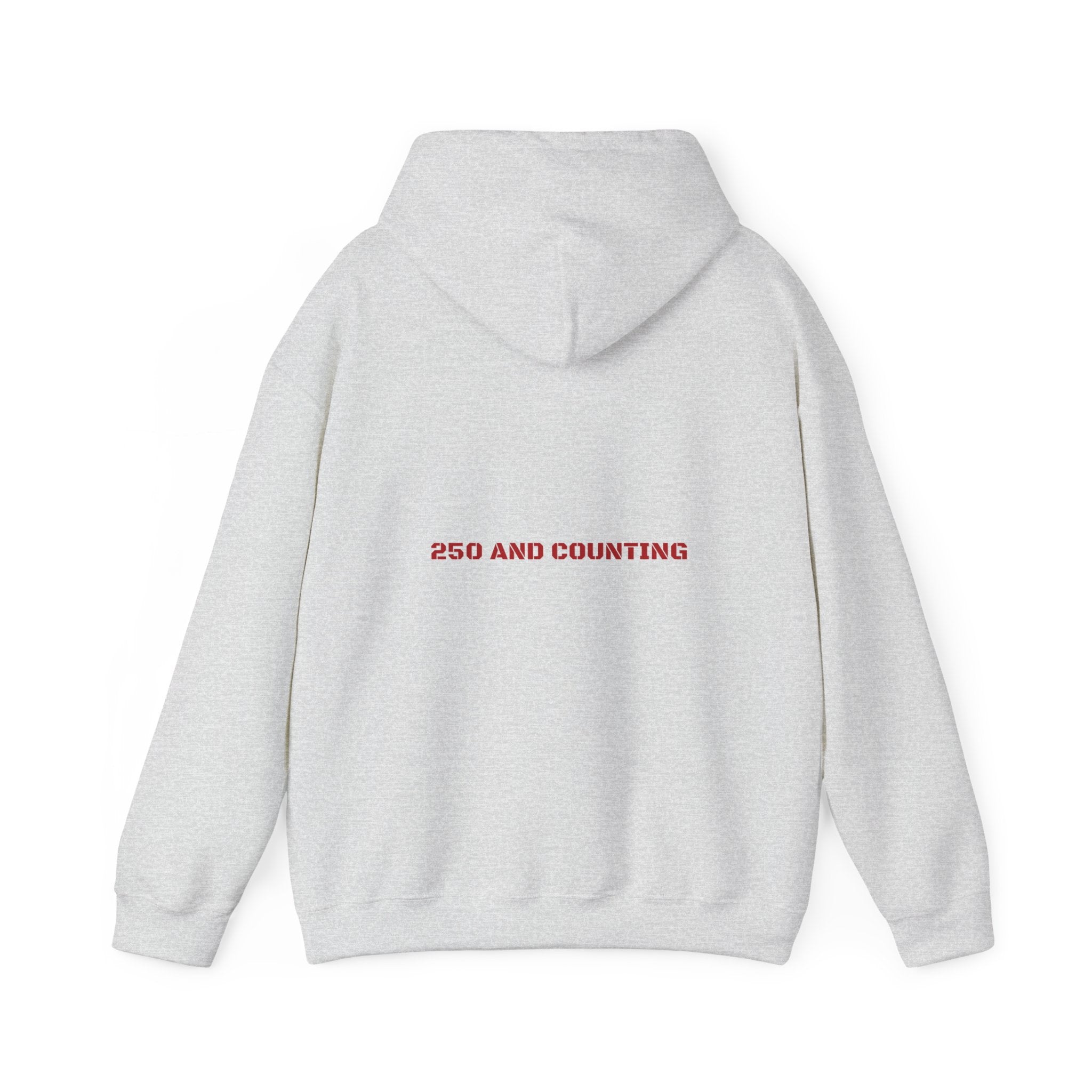 250 And Counting - Trendy Teez Funny Hoodie (Back Print) mockup
