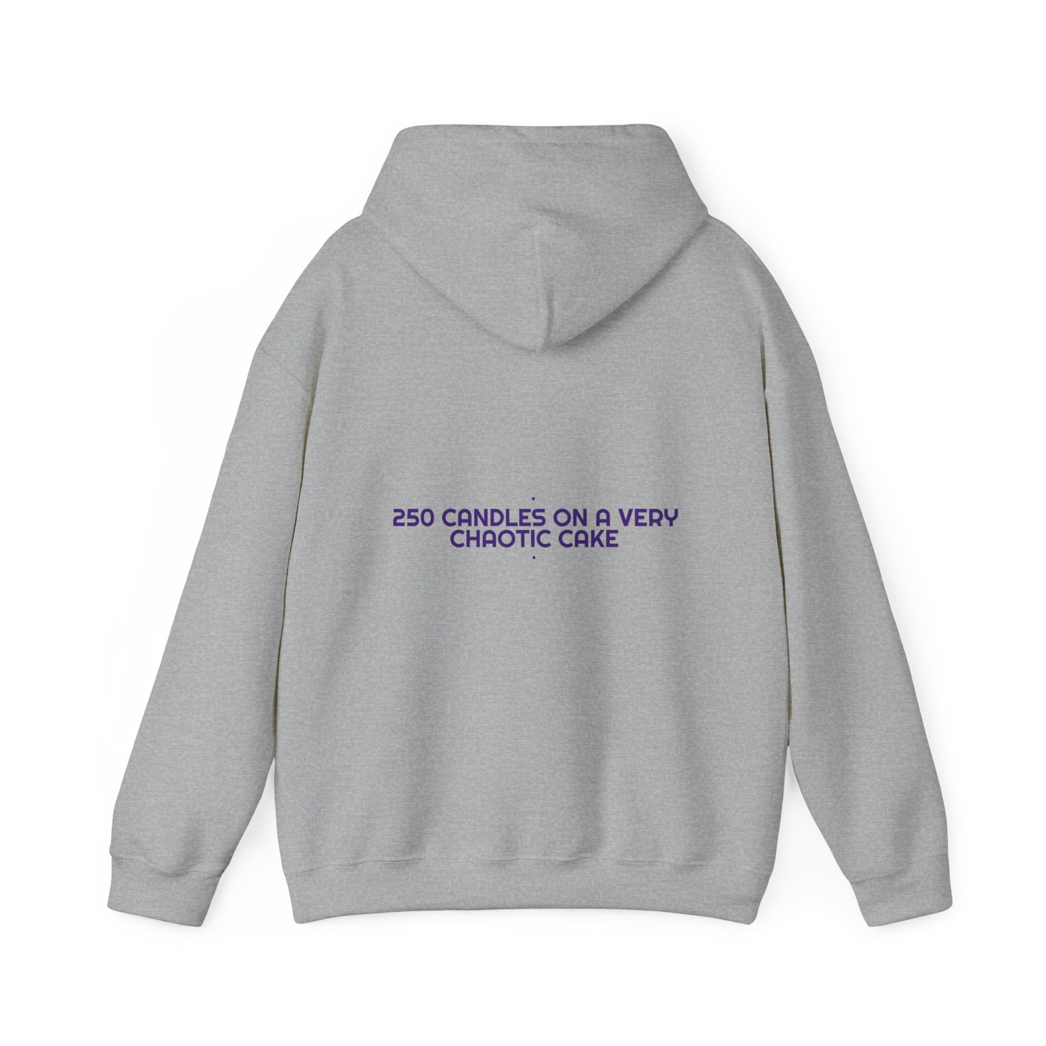 250 Candles On A Very Chaotic Cake — Funny Hoodie (Back Print)