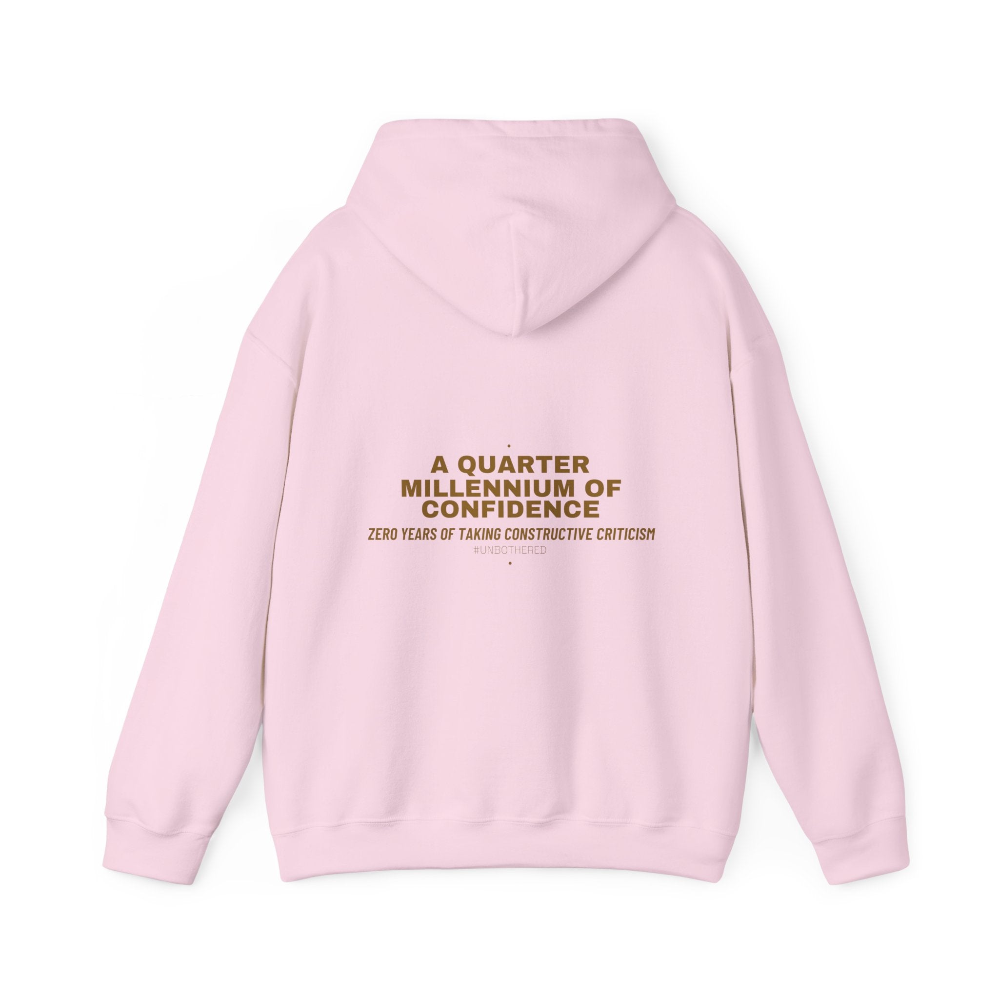 A Quarter Millennium Of Confidence — Funny Hoodie (Back Print)