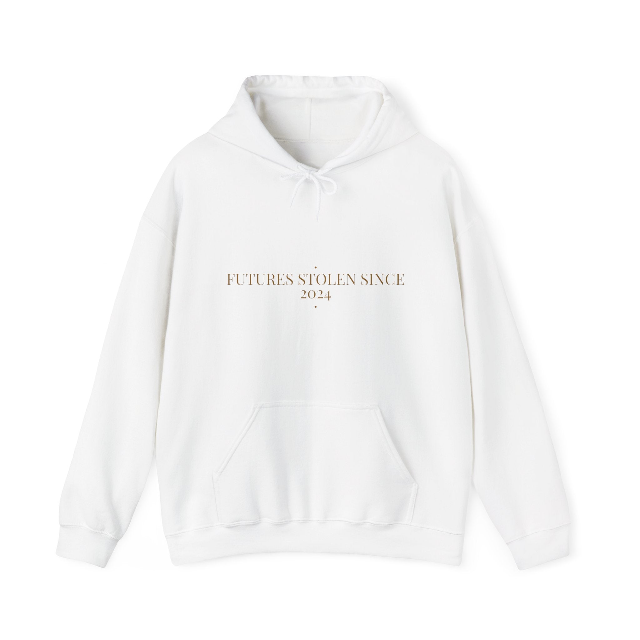 Futures Stolen Since 2024 - Trendy Teez Funny Hoodie mockup