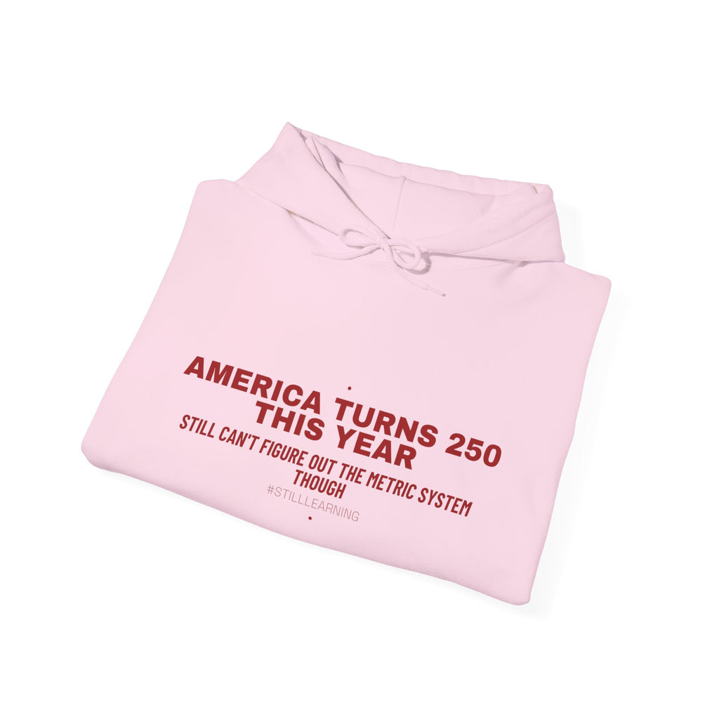 America Turns 250 This Year — Funny Hoodie