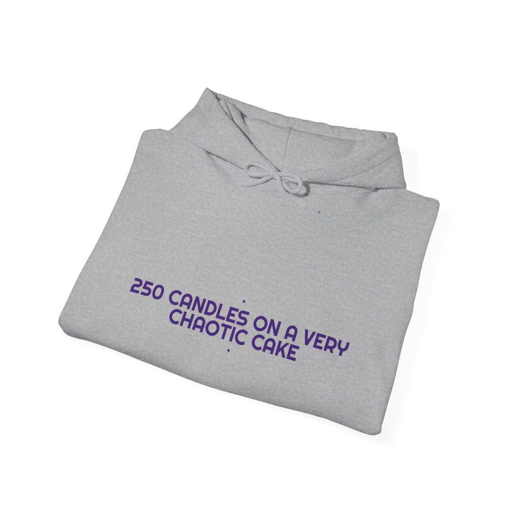 250 Candles On A Very Chaotic Cake — Funny Hoodie