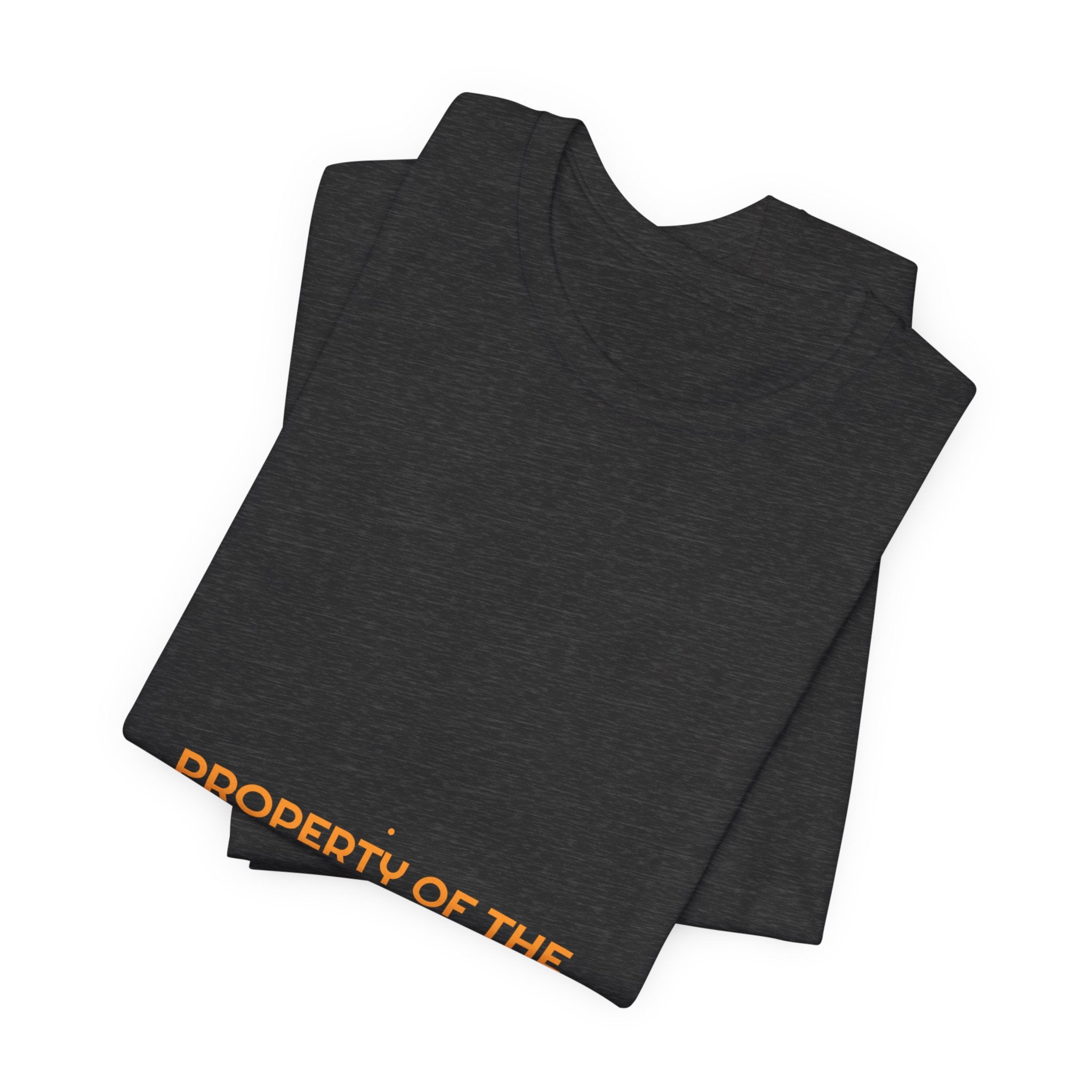 Property Of The Internet - Trendy Teez Funny Tee mockup