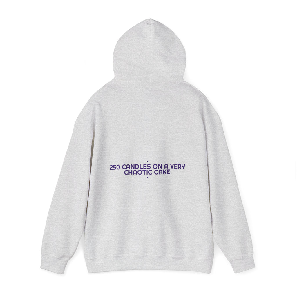 250 Candles On A Very Chaotic Cake — Funny Hoodie (Back Print)