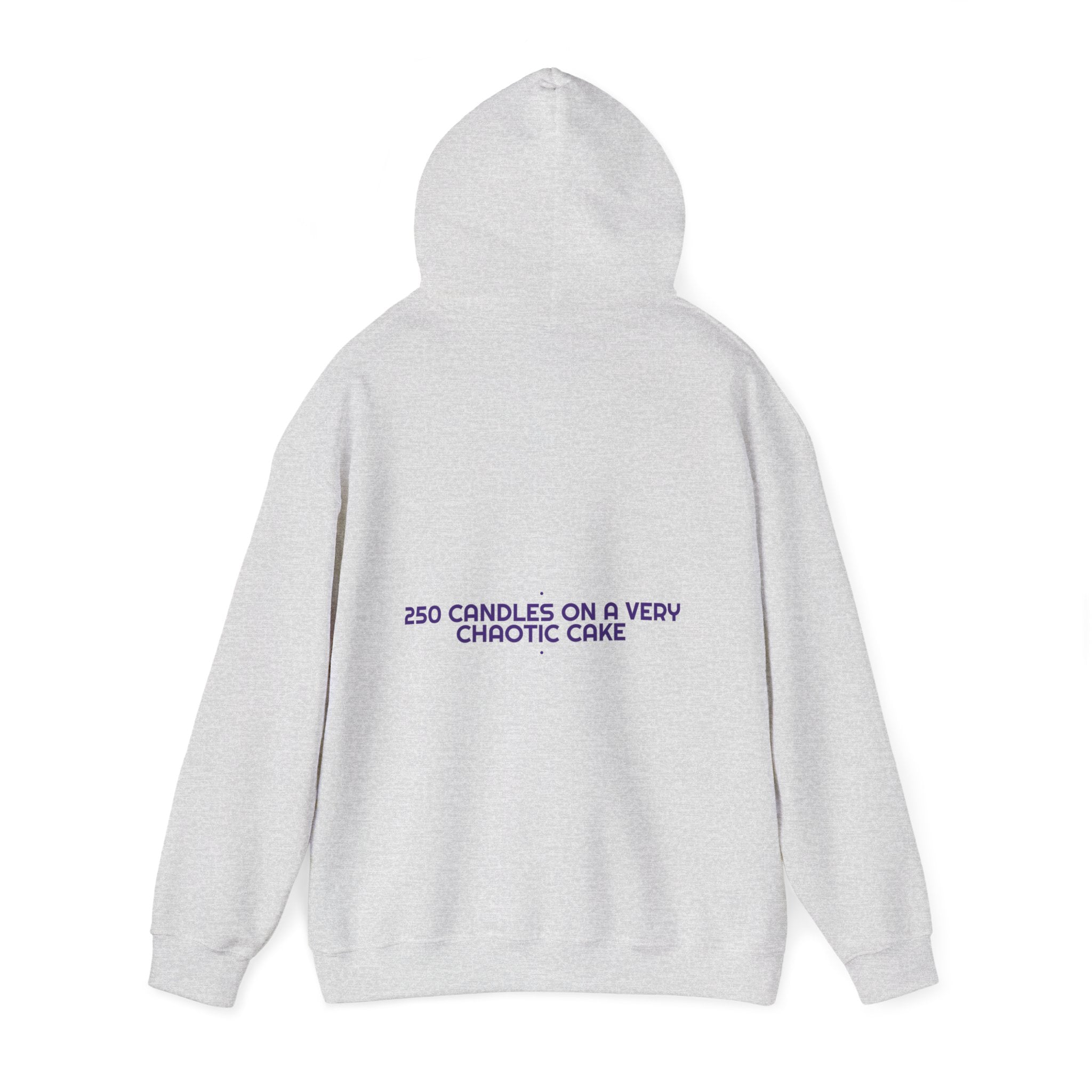 250 Candles On A Very Chaotic Cake — Funny Hoodie (Back Print)