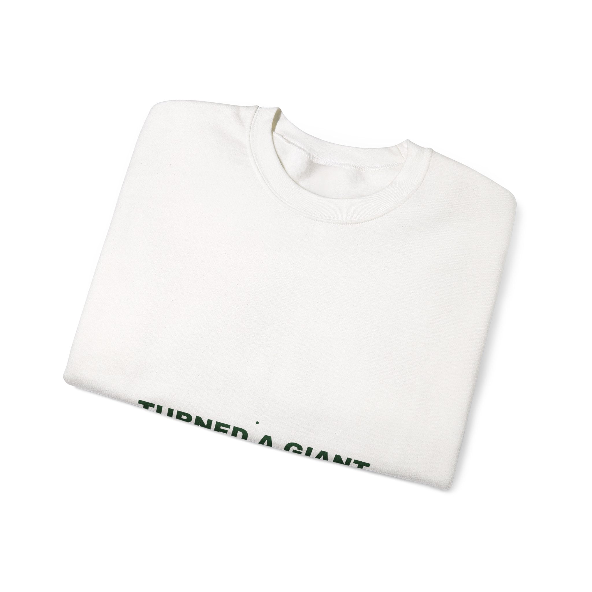 Turned A Giant Hole Into A Park — Funny Crewneck