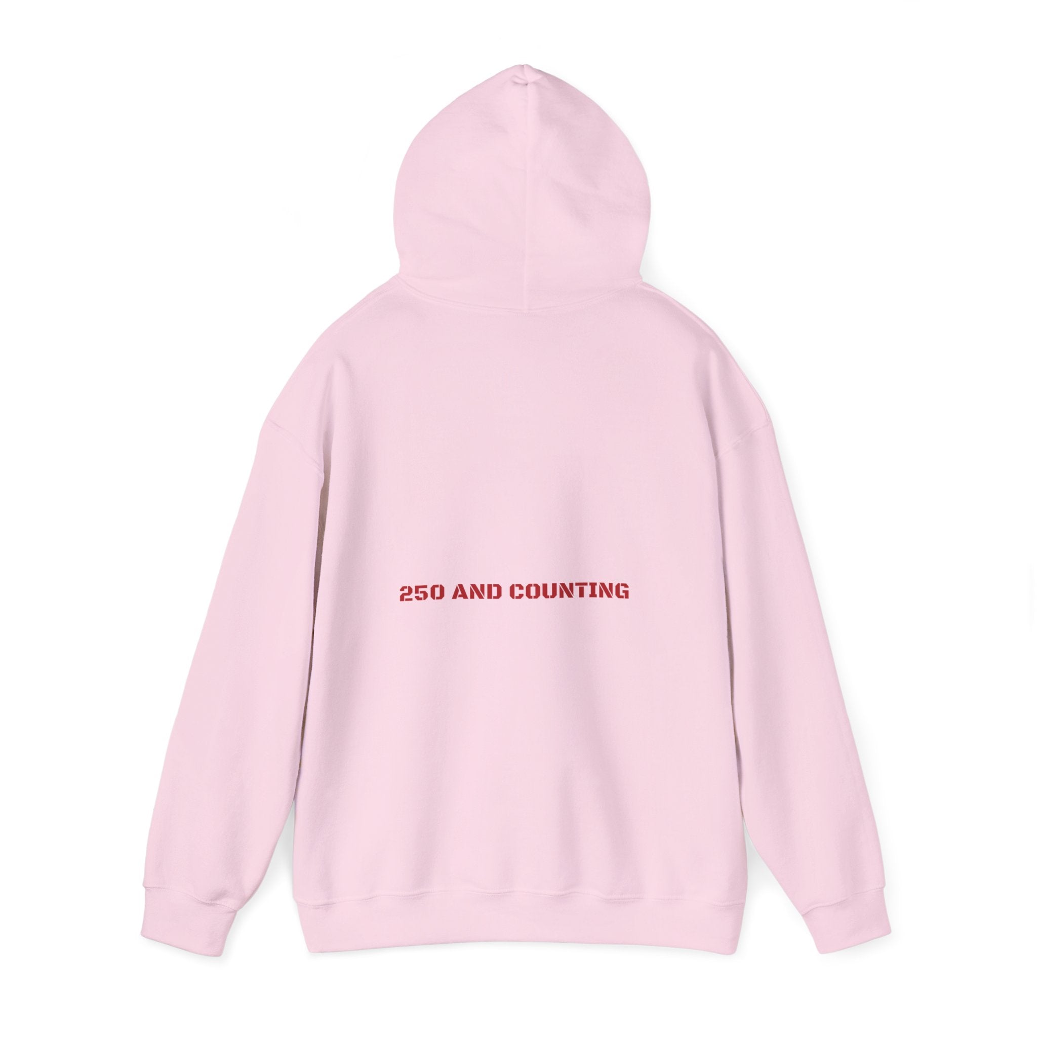 250 And Counting - Trendy Teez Funny Hoodie (Back Print) mockup