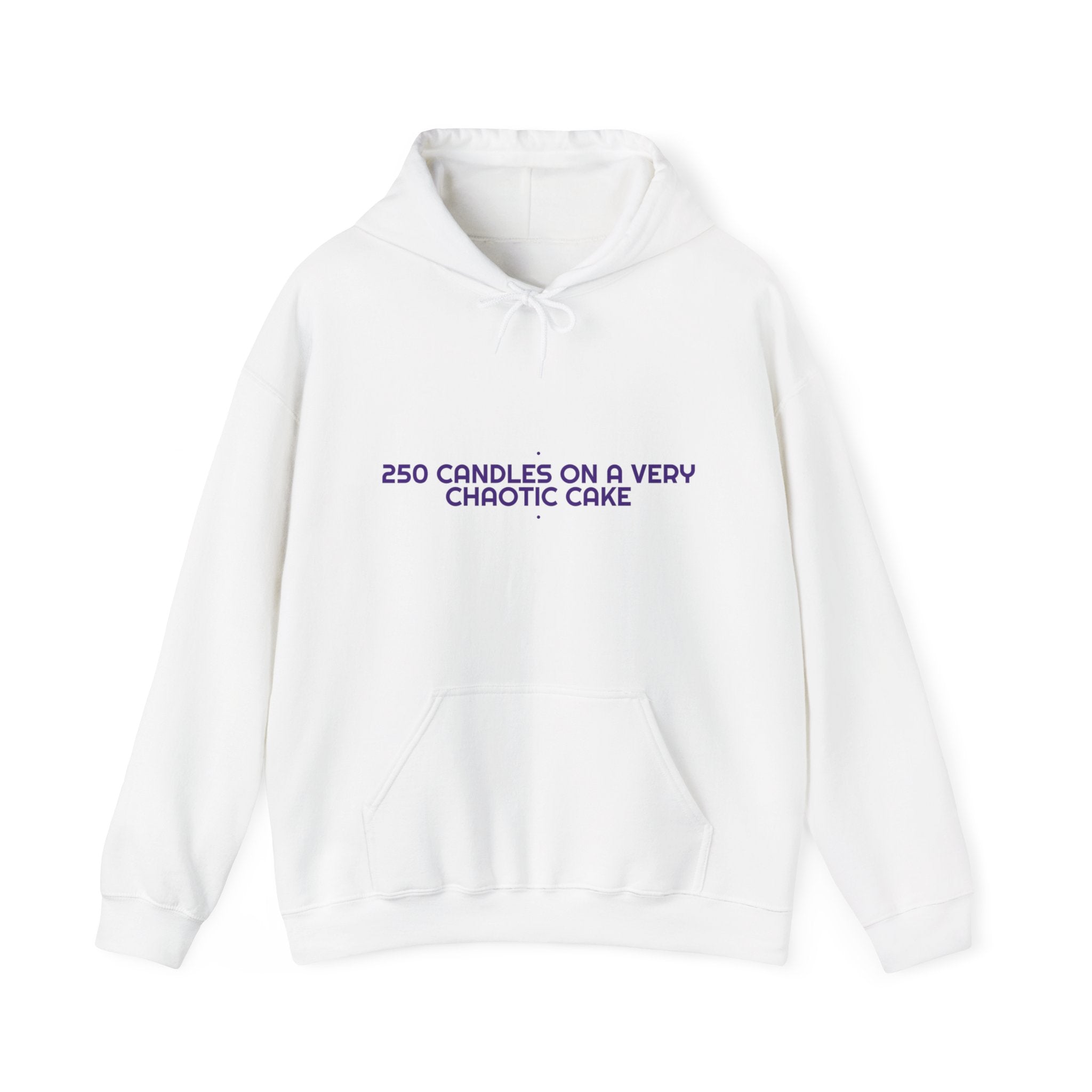 250 Candles On A Very Chaotic Cake — Funny Hoodie