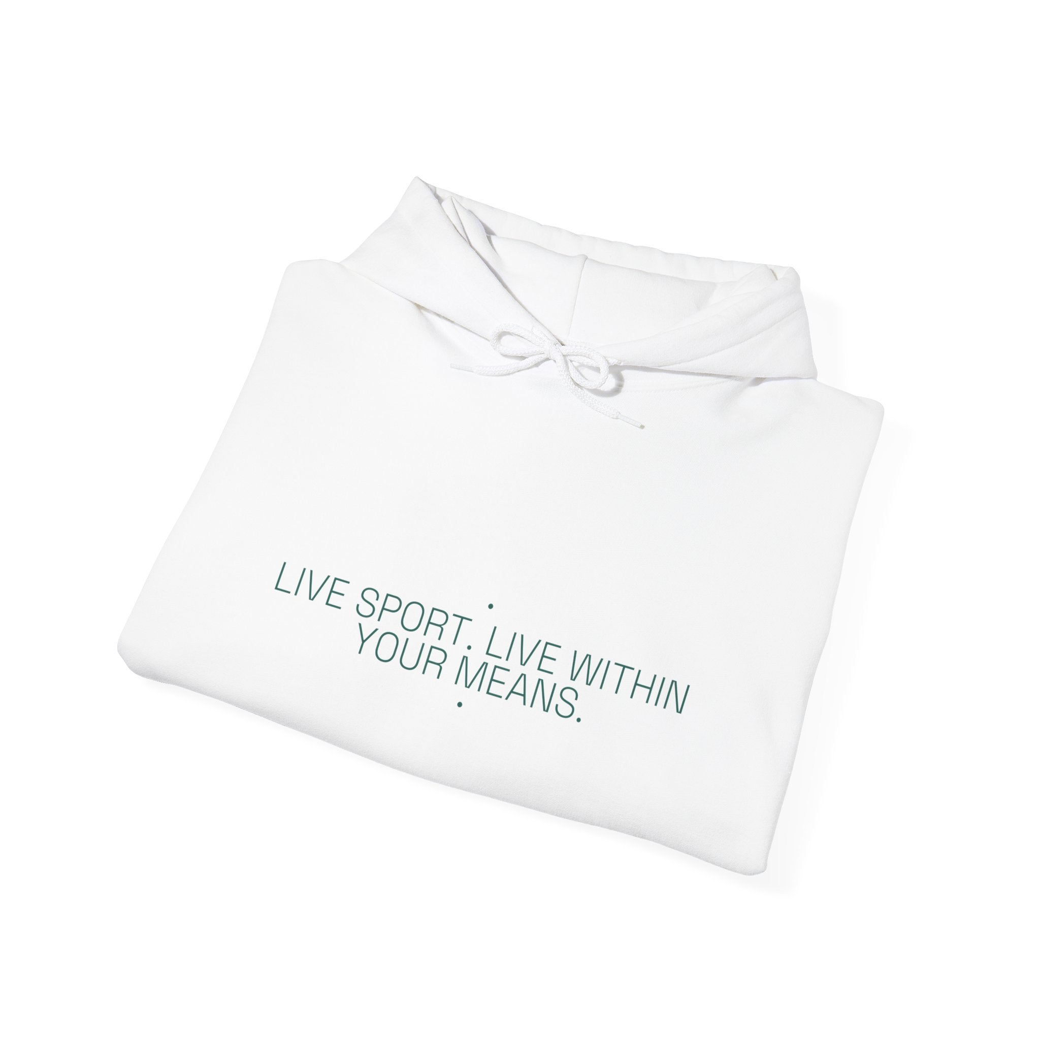 Live Sport. Live Within Your Means. - Trendy Teez Funny Hoodie mockup
