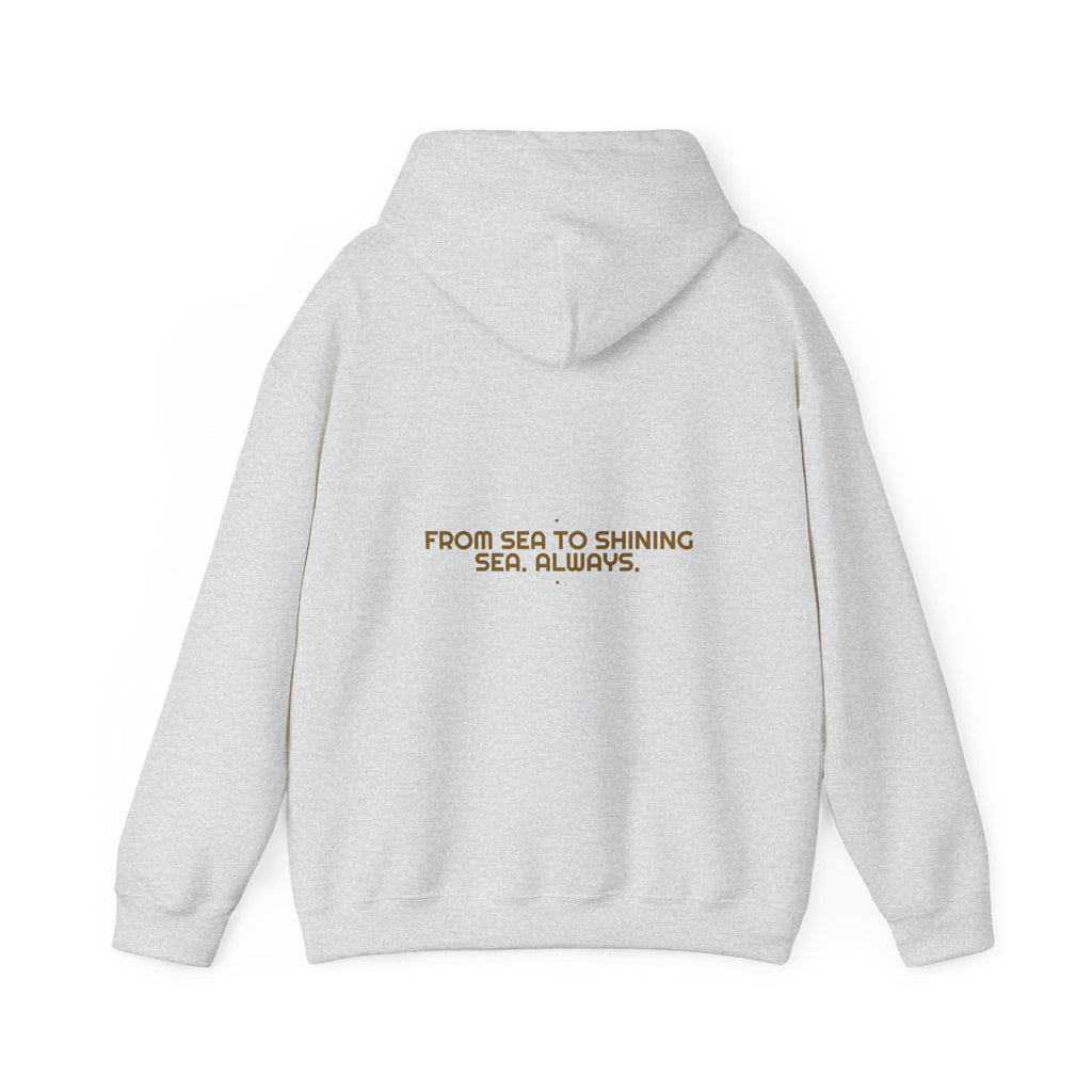 From Sea To Shining Sea. Always. - Trendy Teez Funny Hoodie (Back Print) mockup