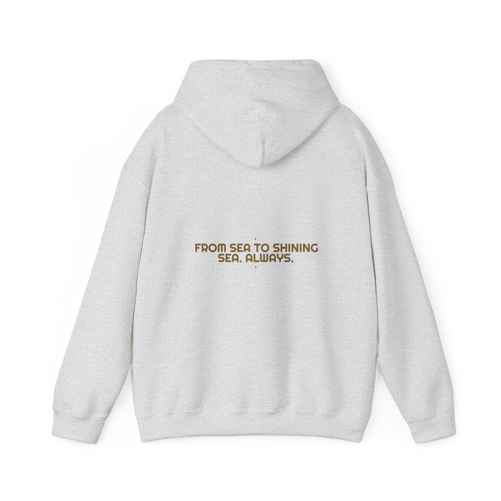 From Sea To Shining Sea. Always. - Trendy Teez Funny Hoodie (Back Print) mockup