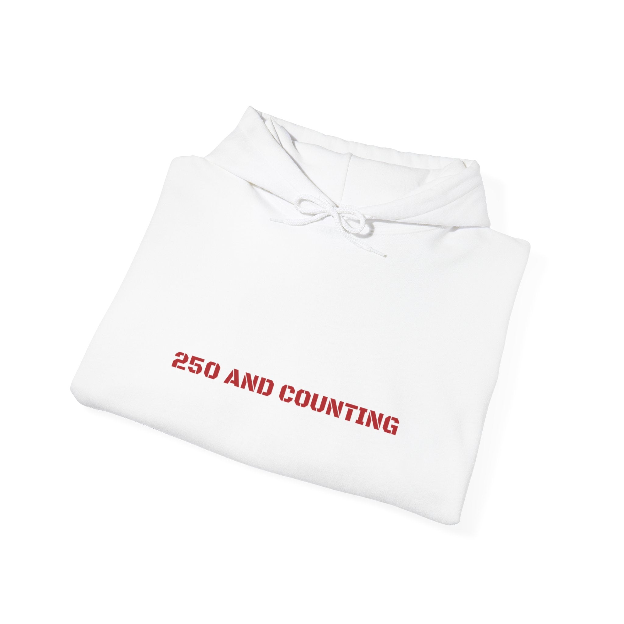 250 And Counting - Trendy Teez Funny Hoodie mockup