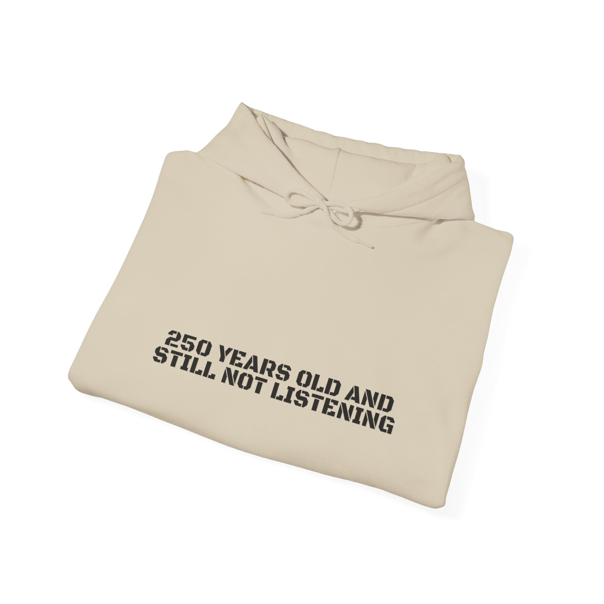 250 Years Old And Still Not Listening — Funny Hoodie