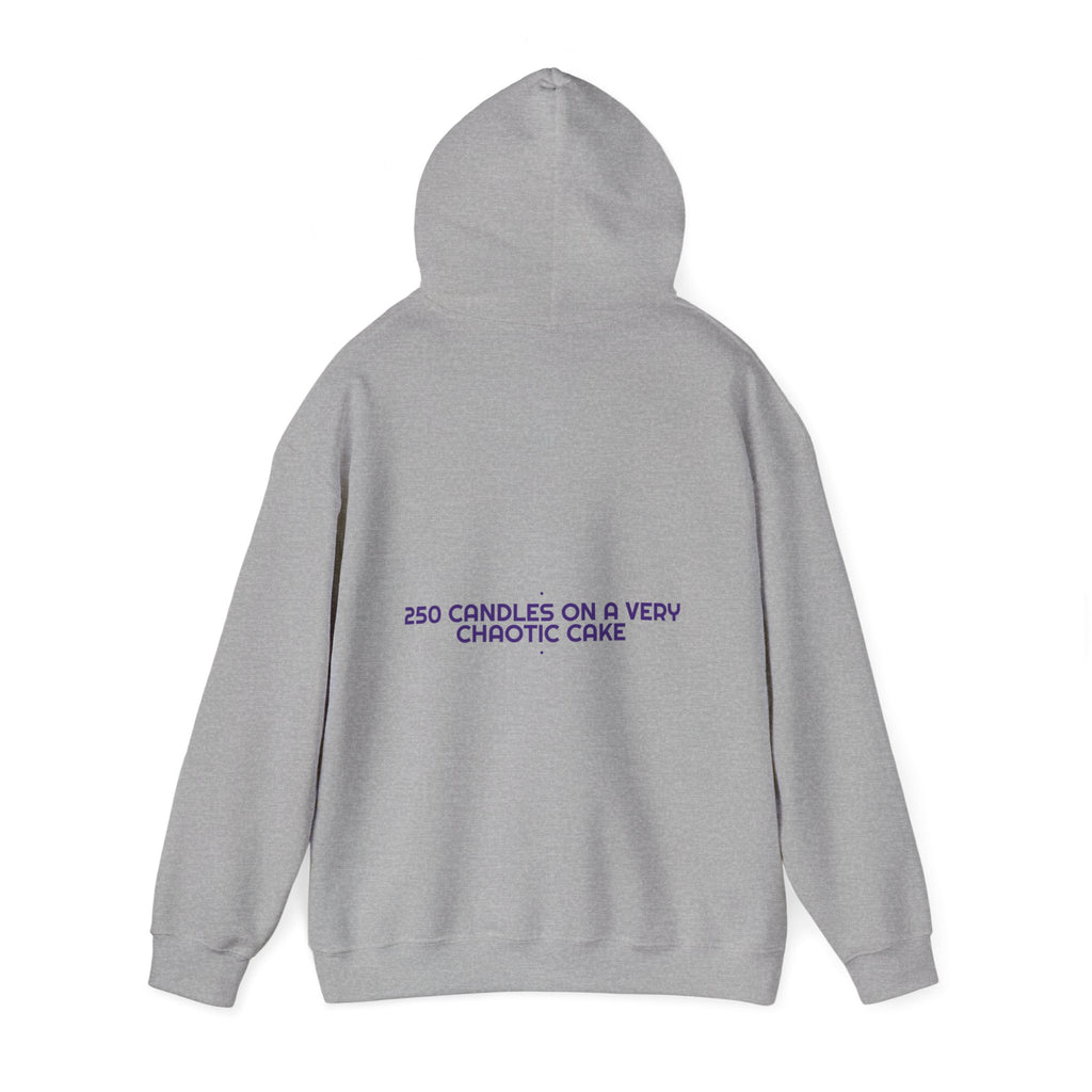 250 Candles On A Very Chaotic Cake — Funny Hoodie (Back Print)