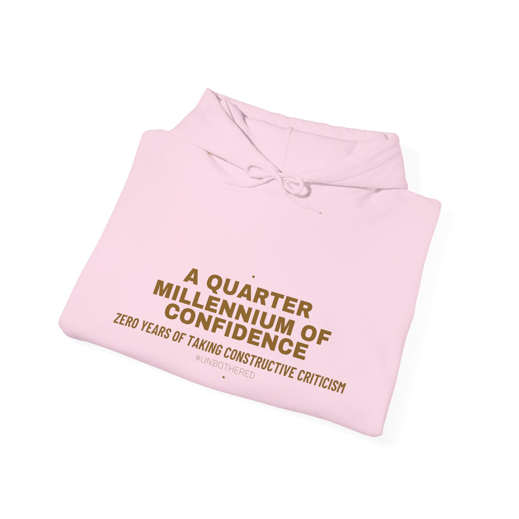 A Quarter Millennium Of Confidence — Funny Hoodie