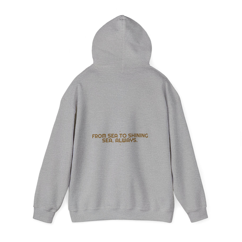 From Sea To Shining Sea. Always. - Trendy Teez Funny Hoodie (Back Print) mockup