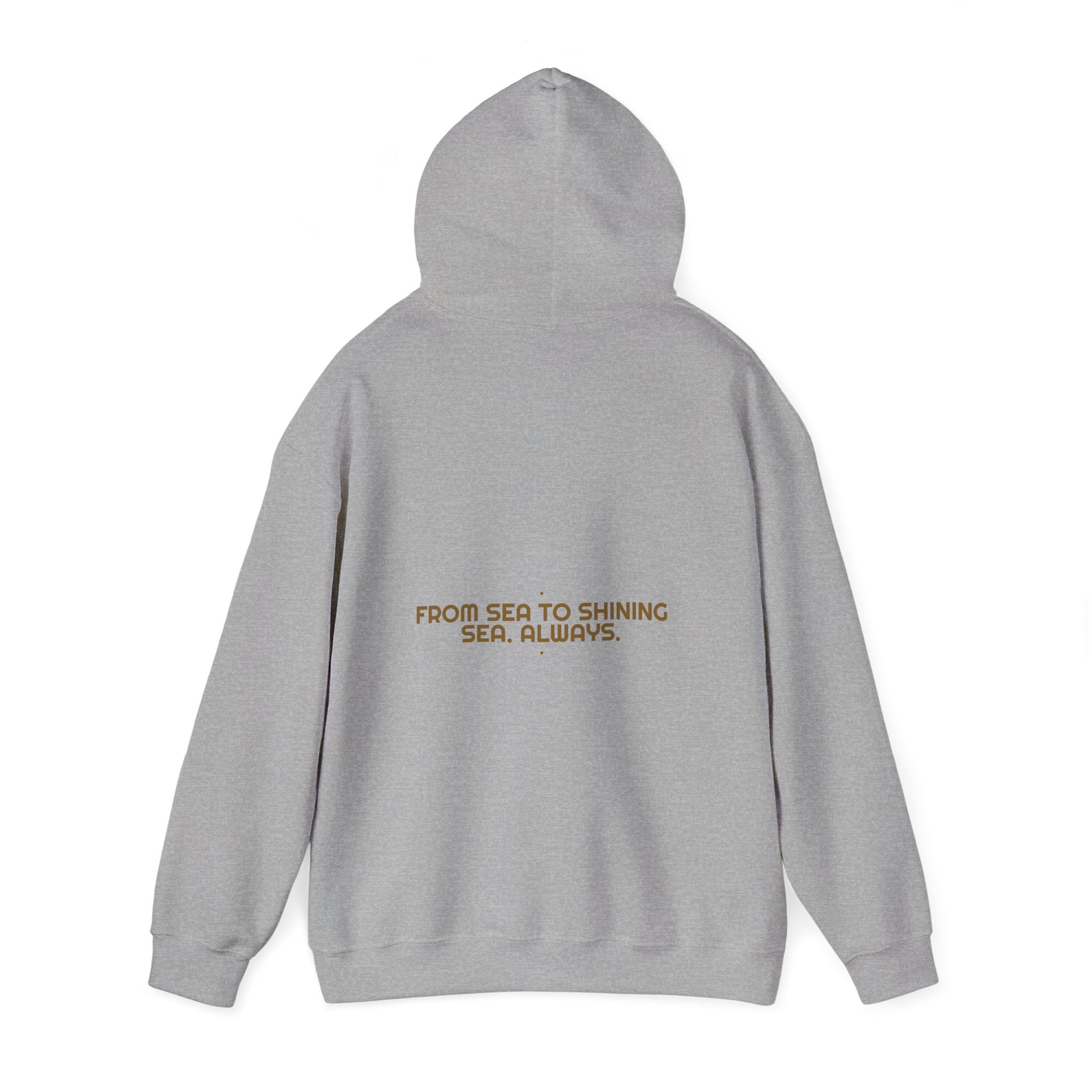 From Sea To Shining Sea. Always. - Trendy Teez Funny Hoodie (Back Print) mockup