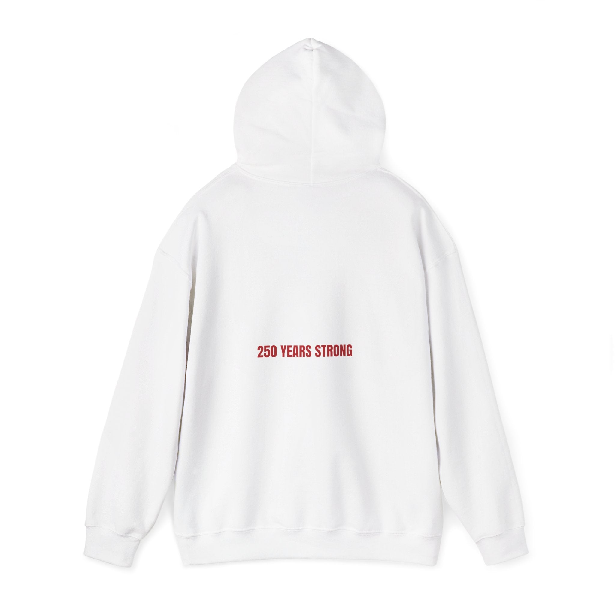 250 Years Strong — Funny Hoodie (Back Print)