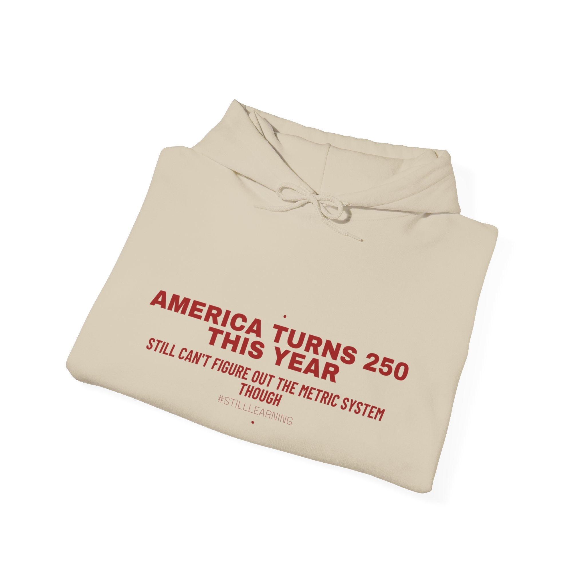 America Turns 250 This Year — Funny Hoodie