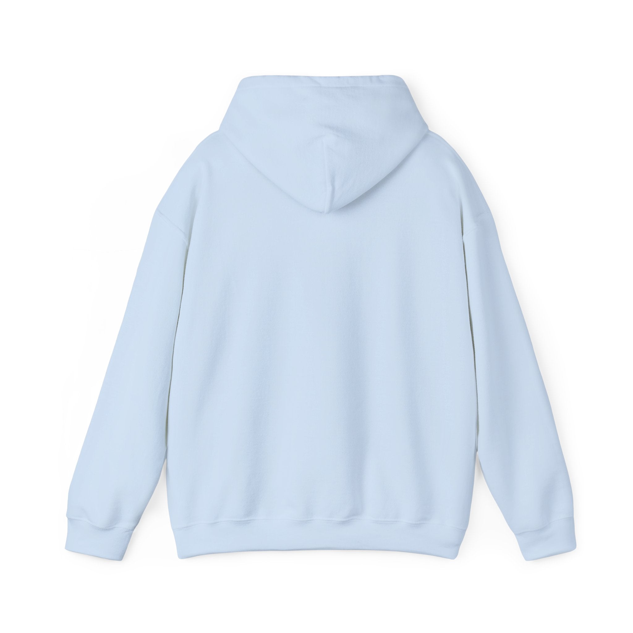 A Quarter Millennium Of Confidence — Funny Hoodie