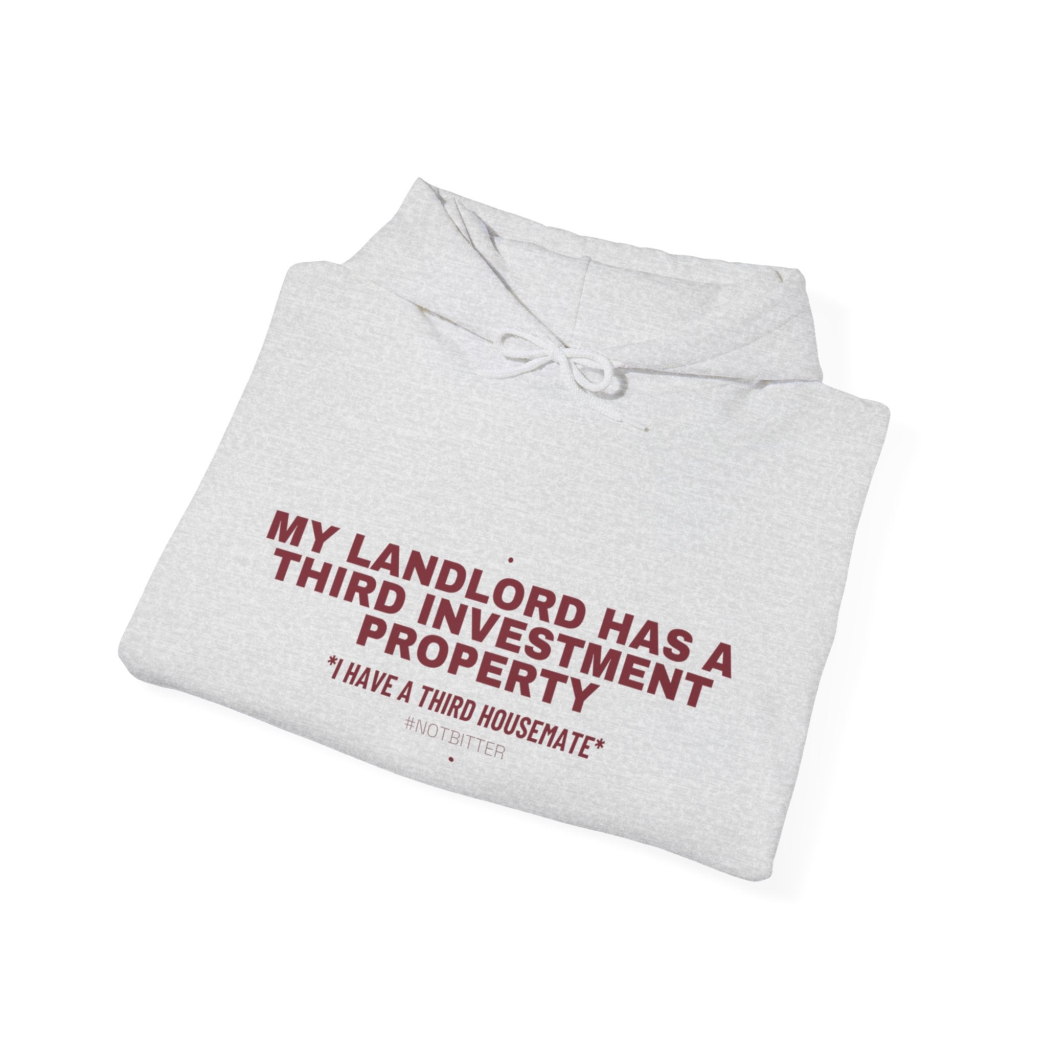 My Landlord Has A Third Investment Property - Trendy Teez Funny Hoodie mockup