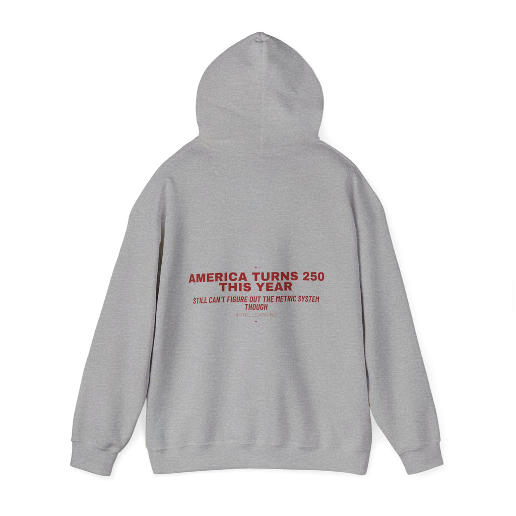 America Turns 250 This Year — Funny Hoodie (Back Print)