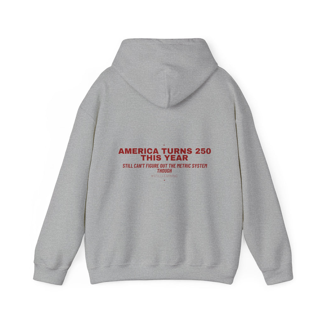 America Turns 250 This Year — Funny Hoodie (Back Print)