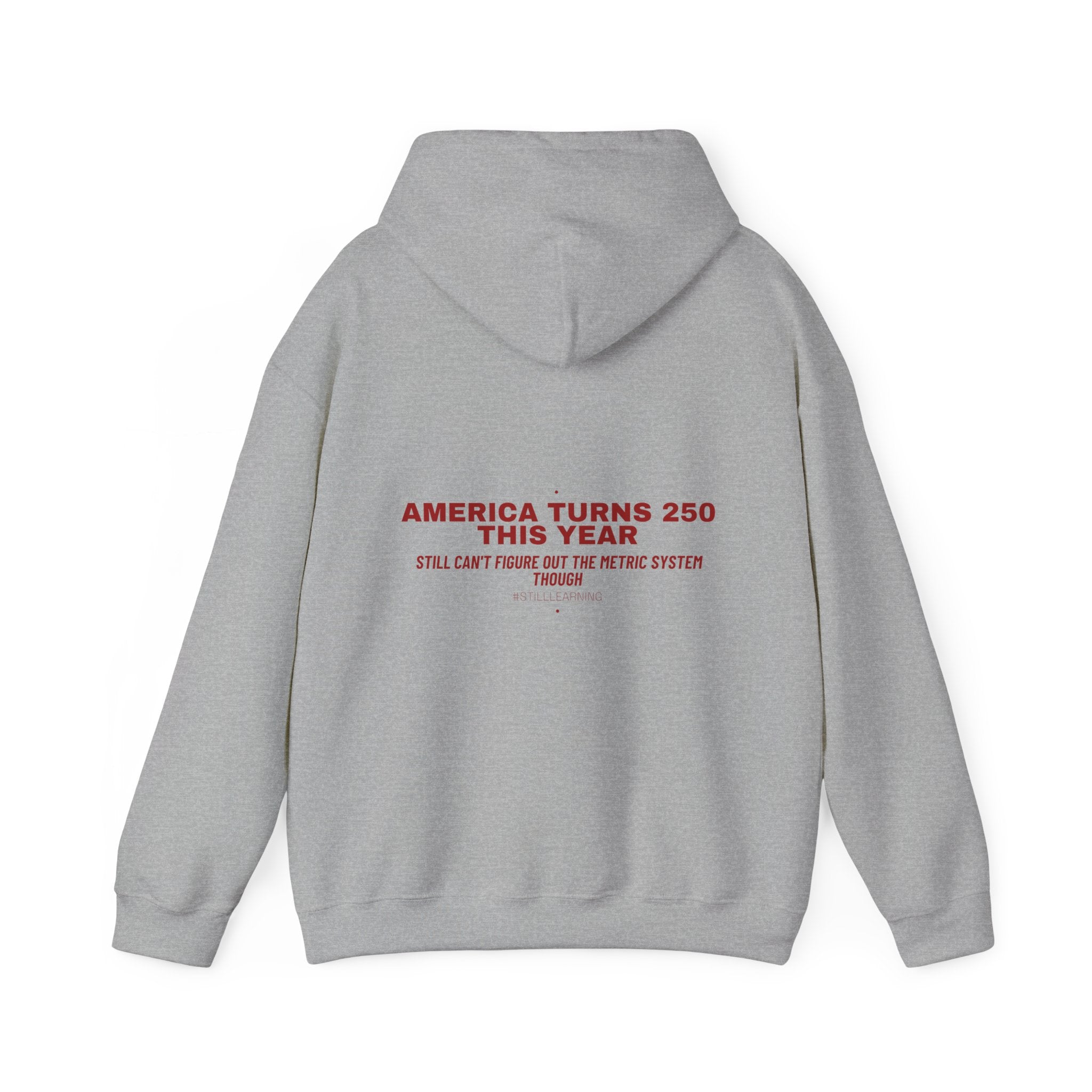 America Turns 250 This Year — Funny Hoodie (Back Print)