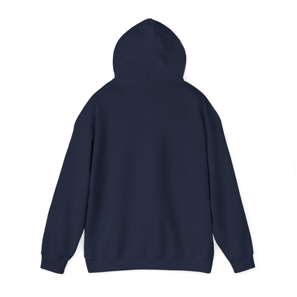 Futures Stolen Since 2024 - Trendy Teez Funny Hoodie mockup