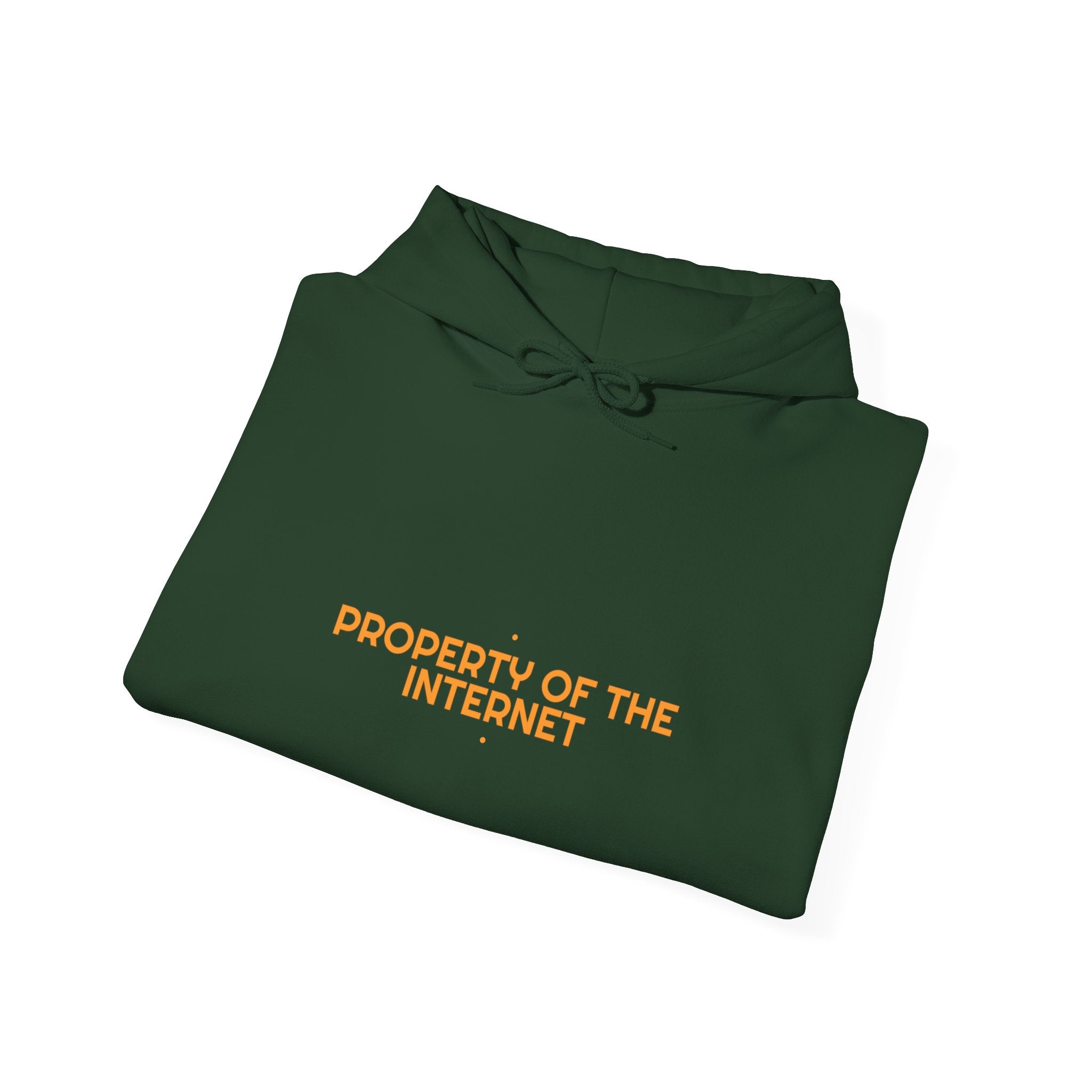 Property Of The Internet - Trendy Teez Funny Hoodie mockup