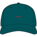 250 Years. Still Leading The Way. — Funny Cap
