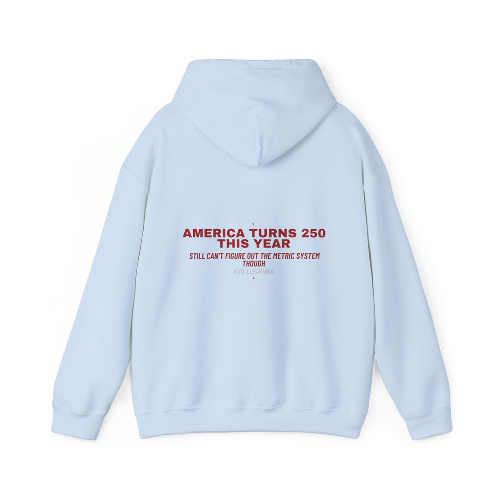 America Turns 250 This Year — Funny Hoodie (Back Print)