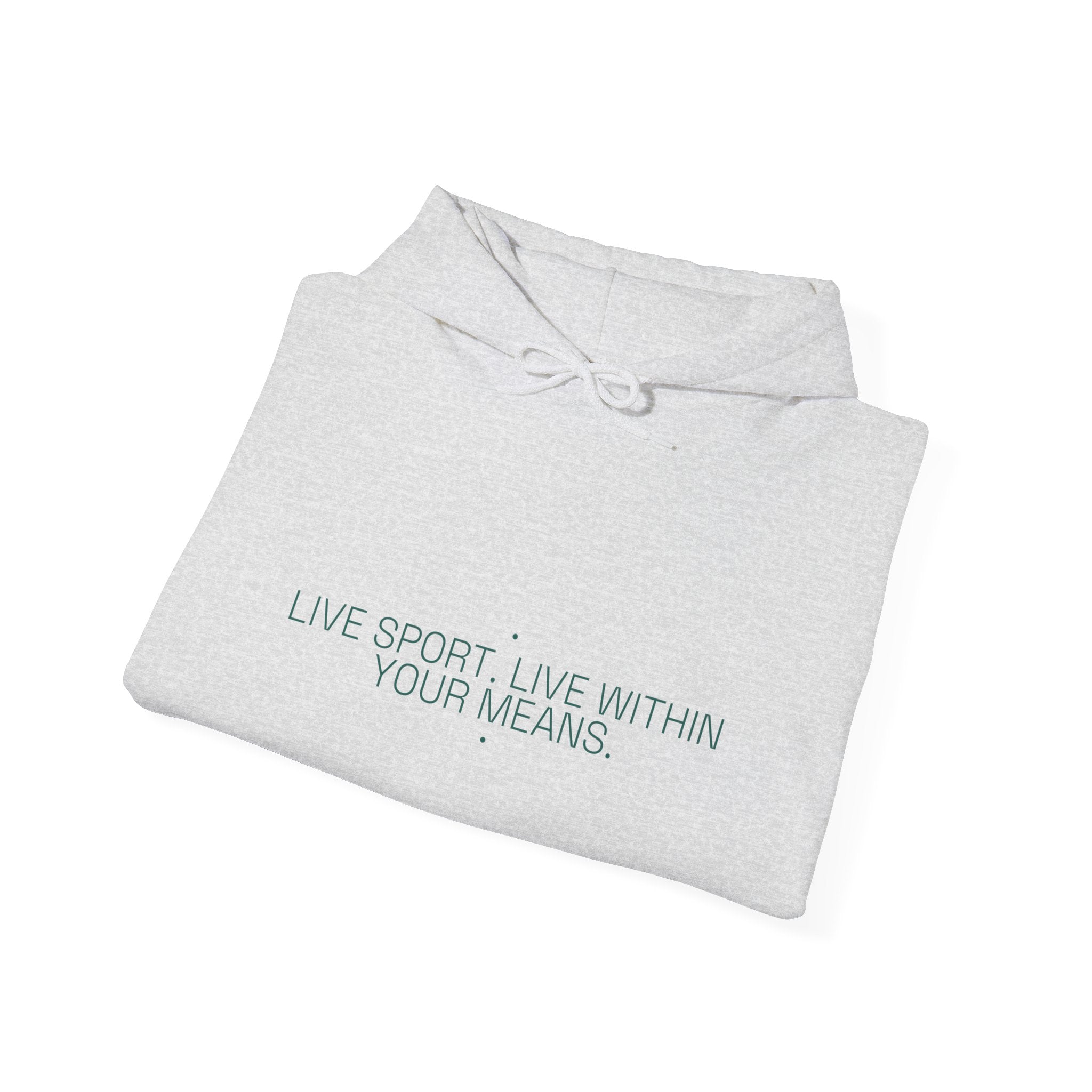 Live Sport. Live Within Your Means. - Trendy Teez Funny Hoodie mockup